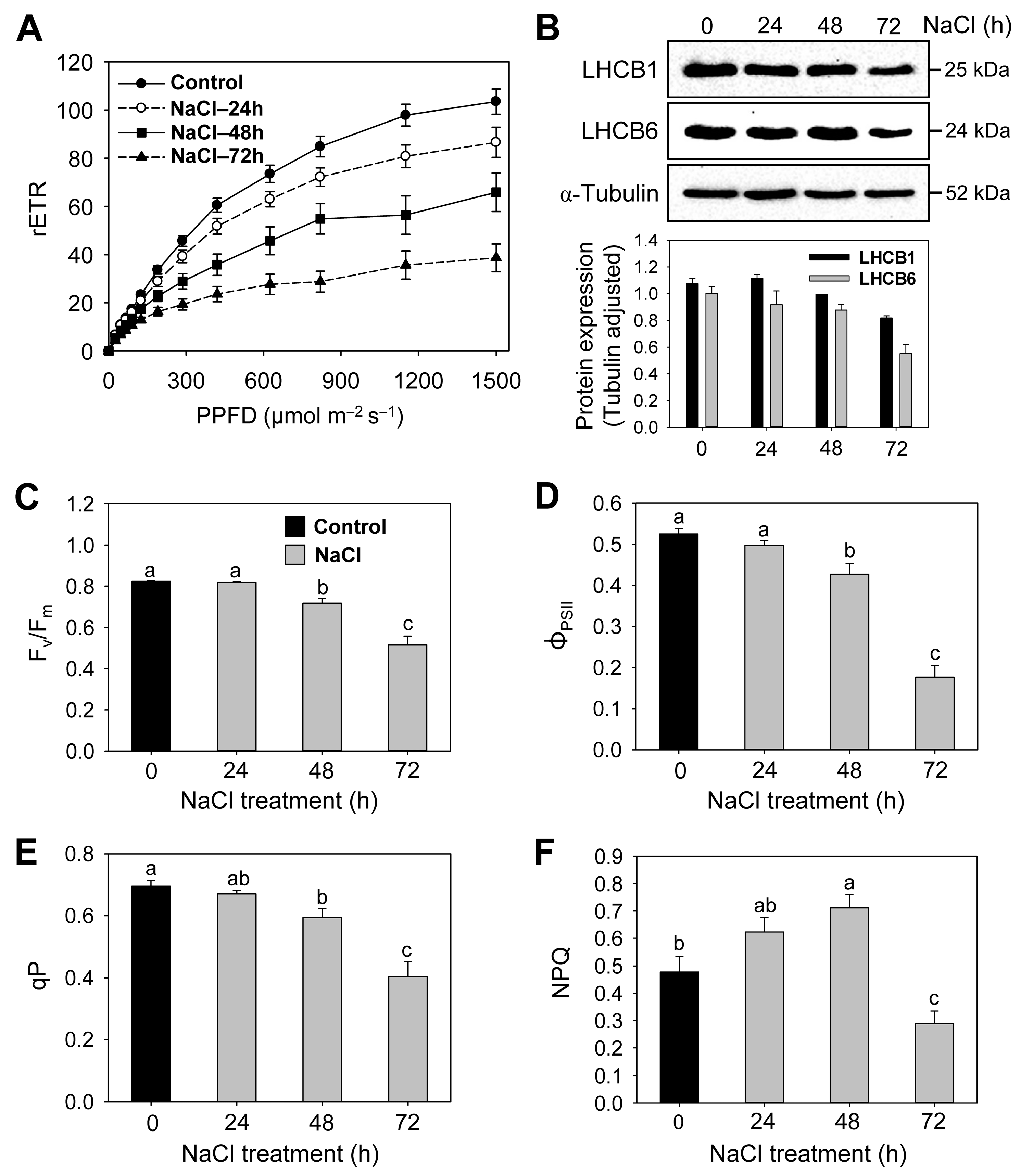Antioxidants 12 01618 g003