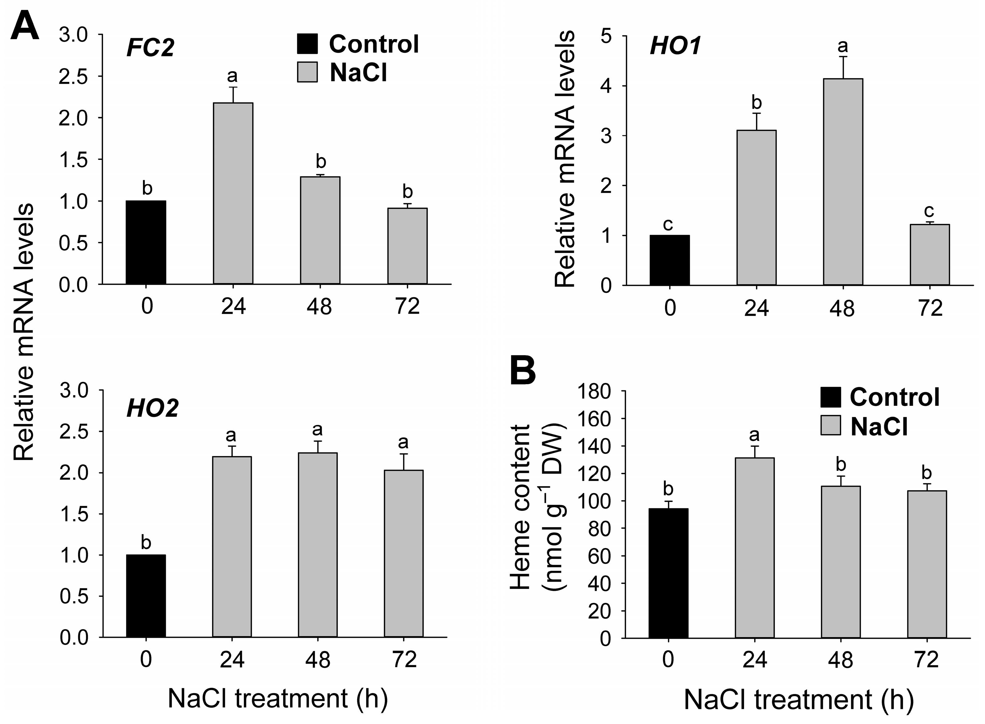 Antioxidants 12 01618 g006