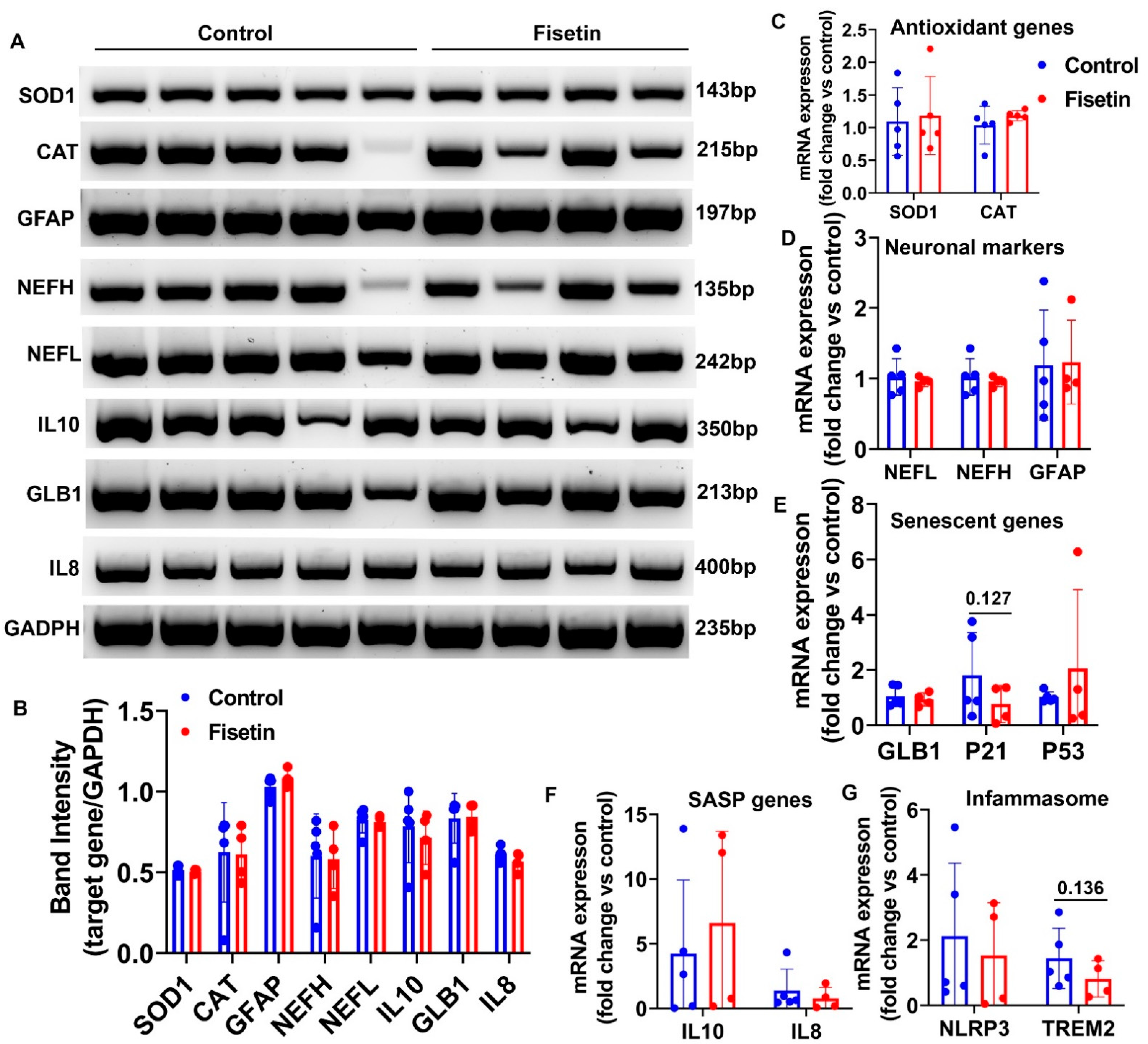 Antioxidants 12 01646 g007