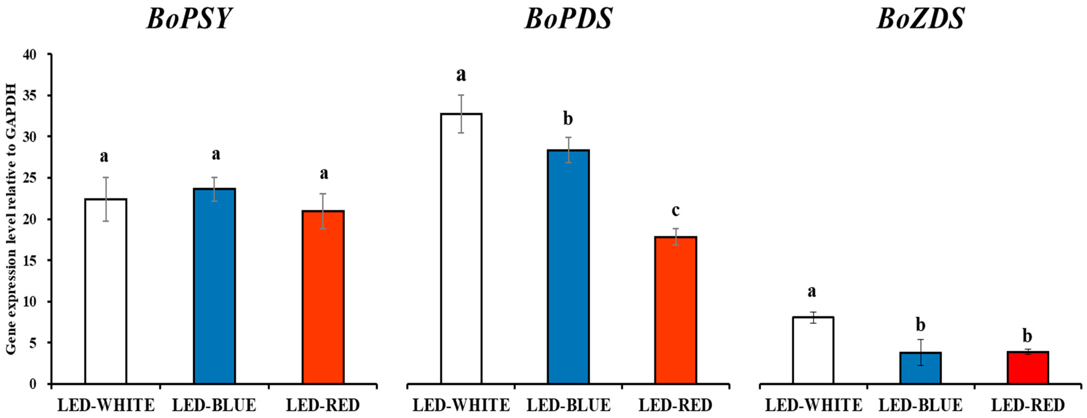 Antioxidants 12 01686 g001