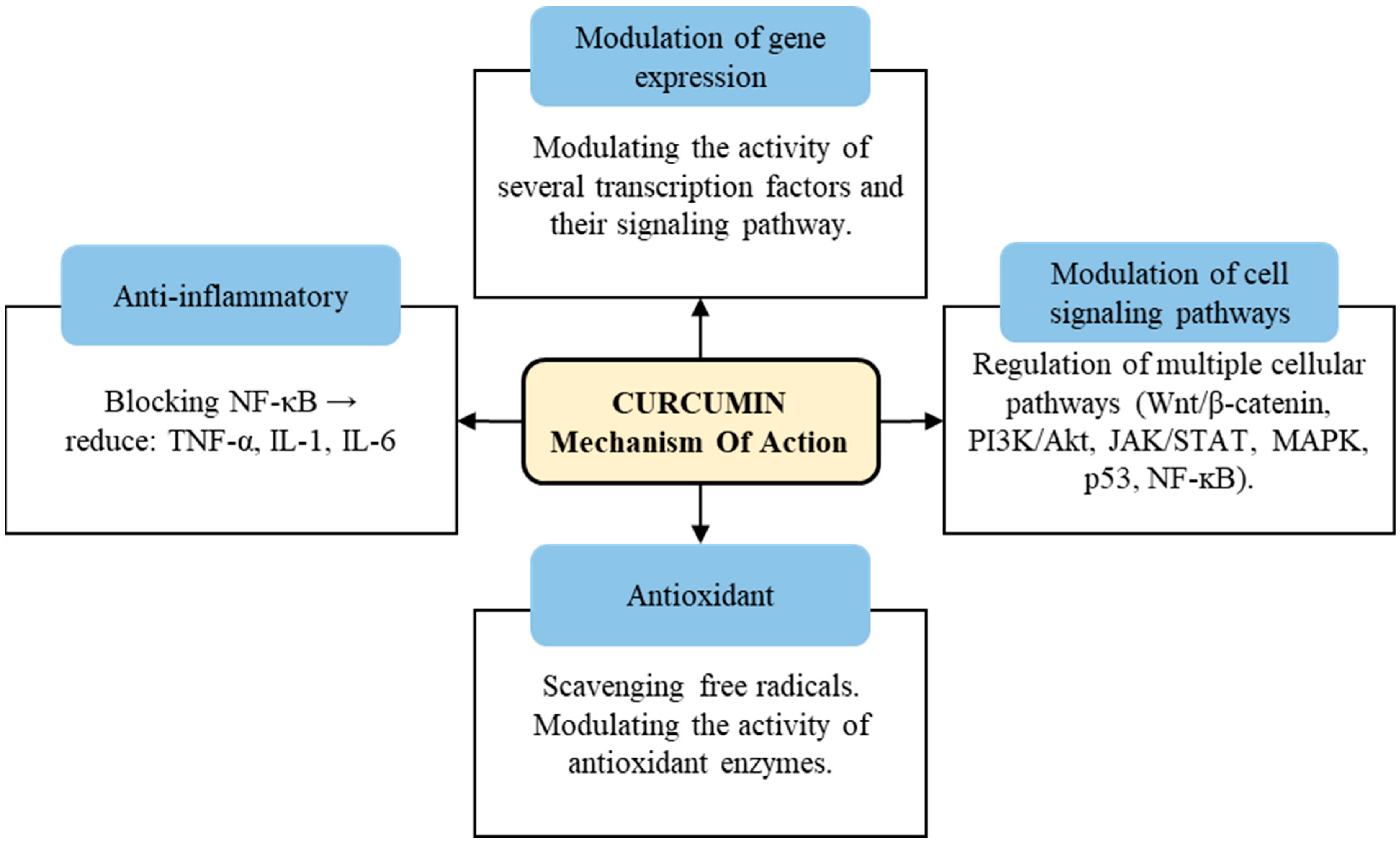 Antioxidants 12 01700 g002