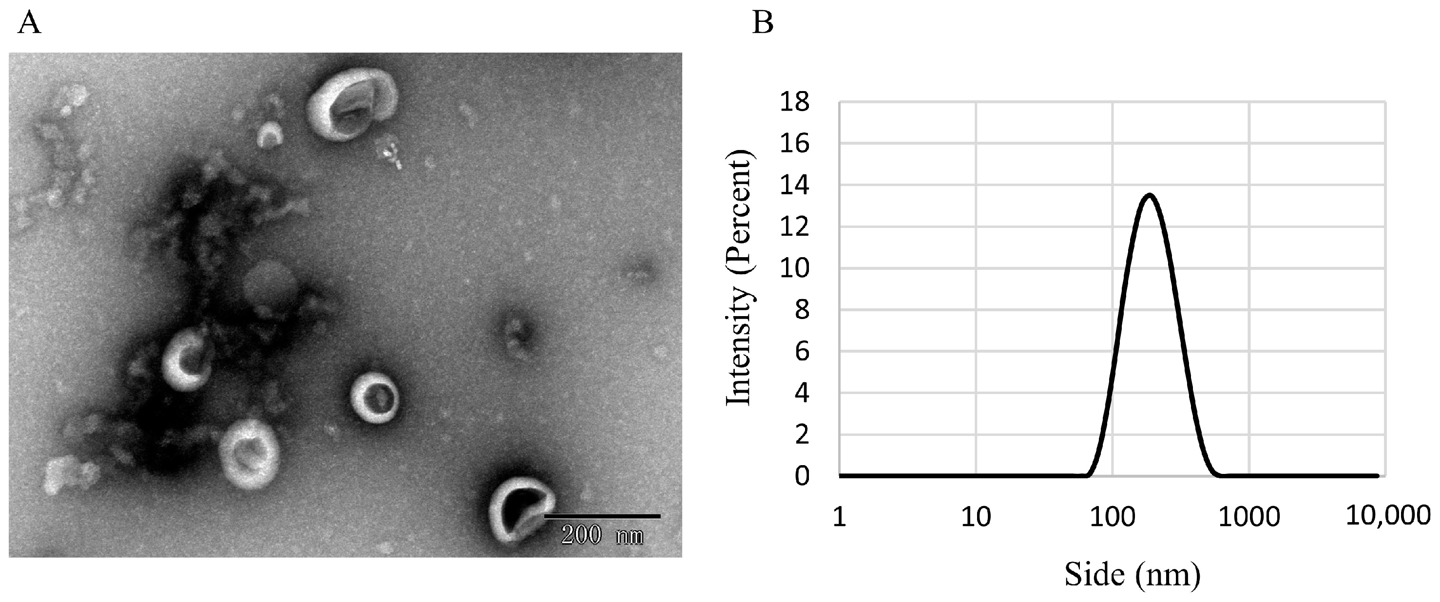 Antioxidants 12 01706 g001