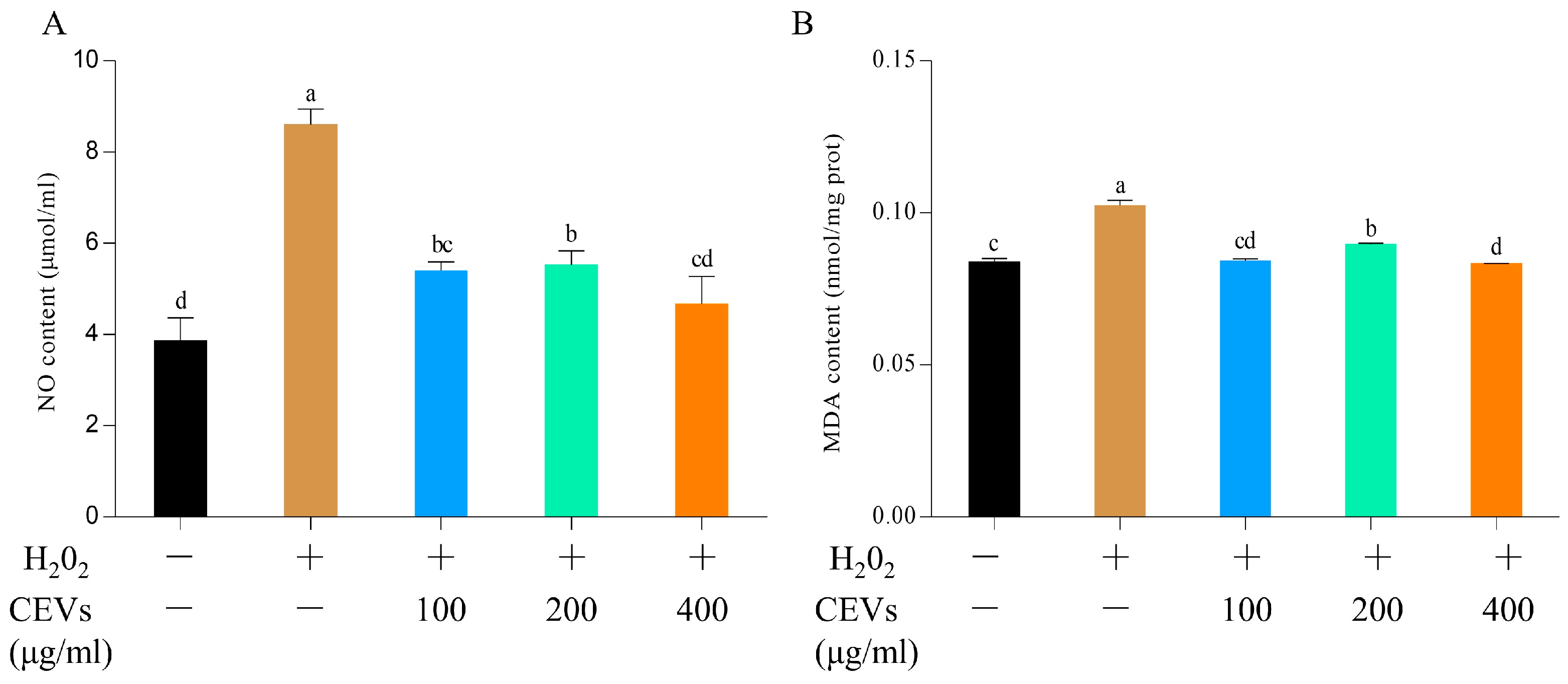 Antioxidants 12 01706 g004