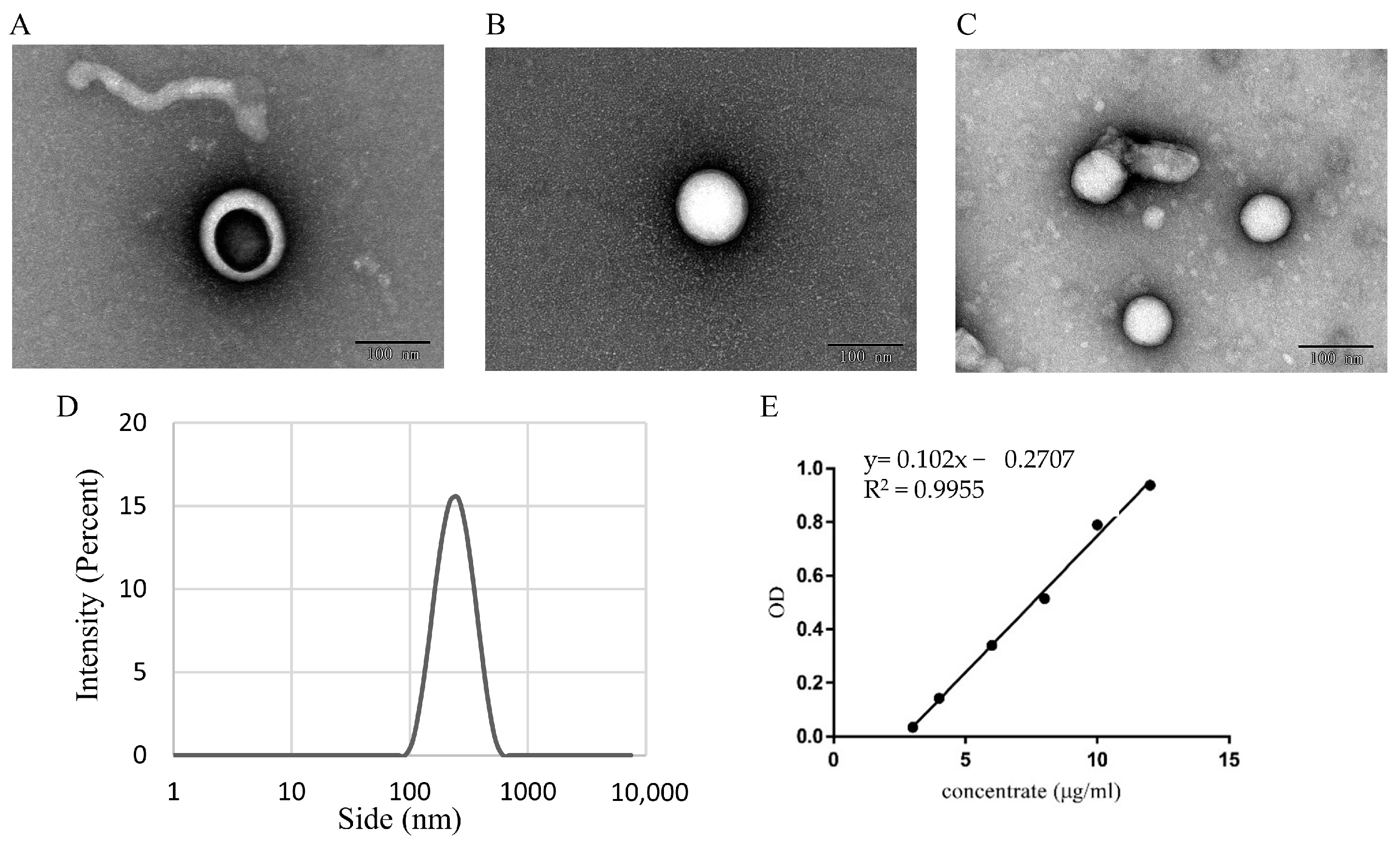 Antioxidants 12 01706 g008