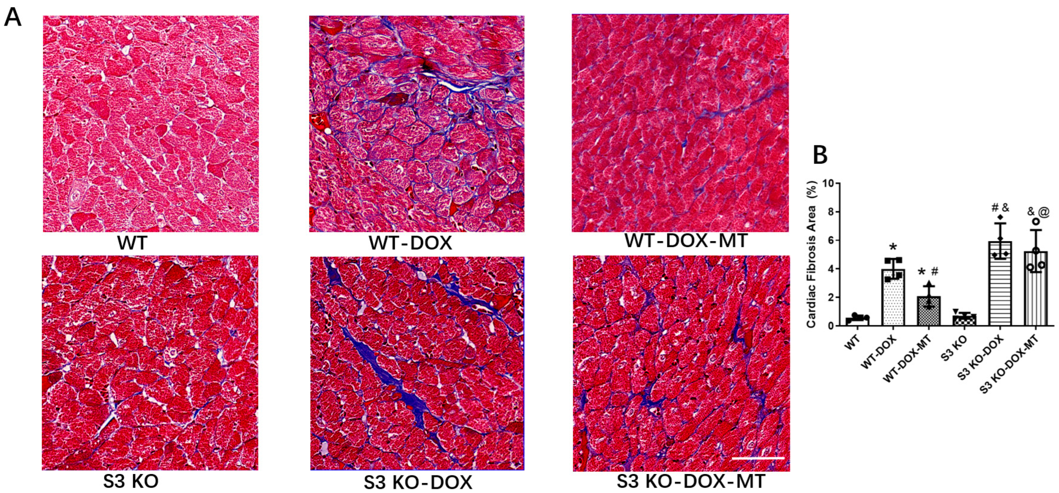 Antioxidants 12 01716 g002