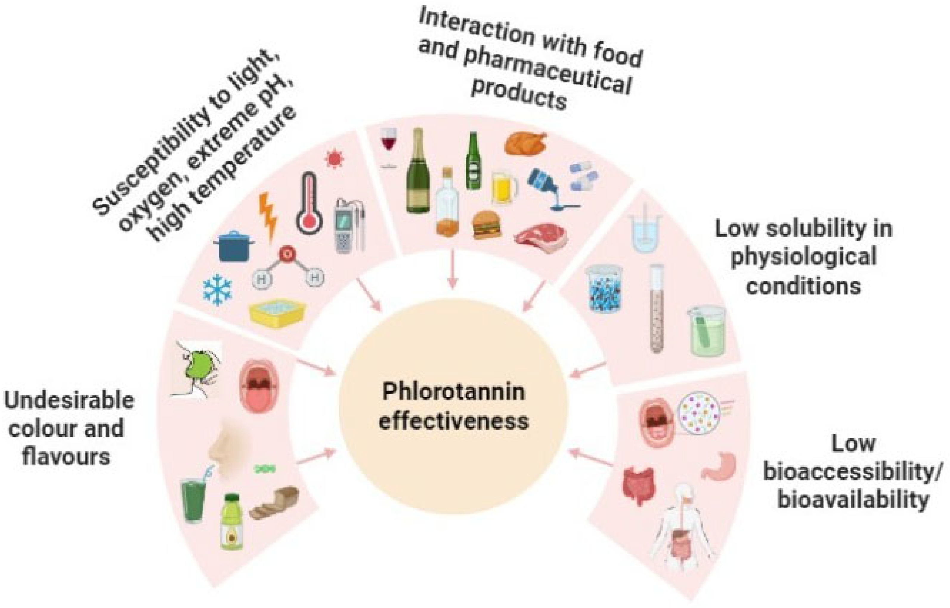 Antioxidants 12 01734 g001 Antioxidants 12 01734 g001