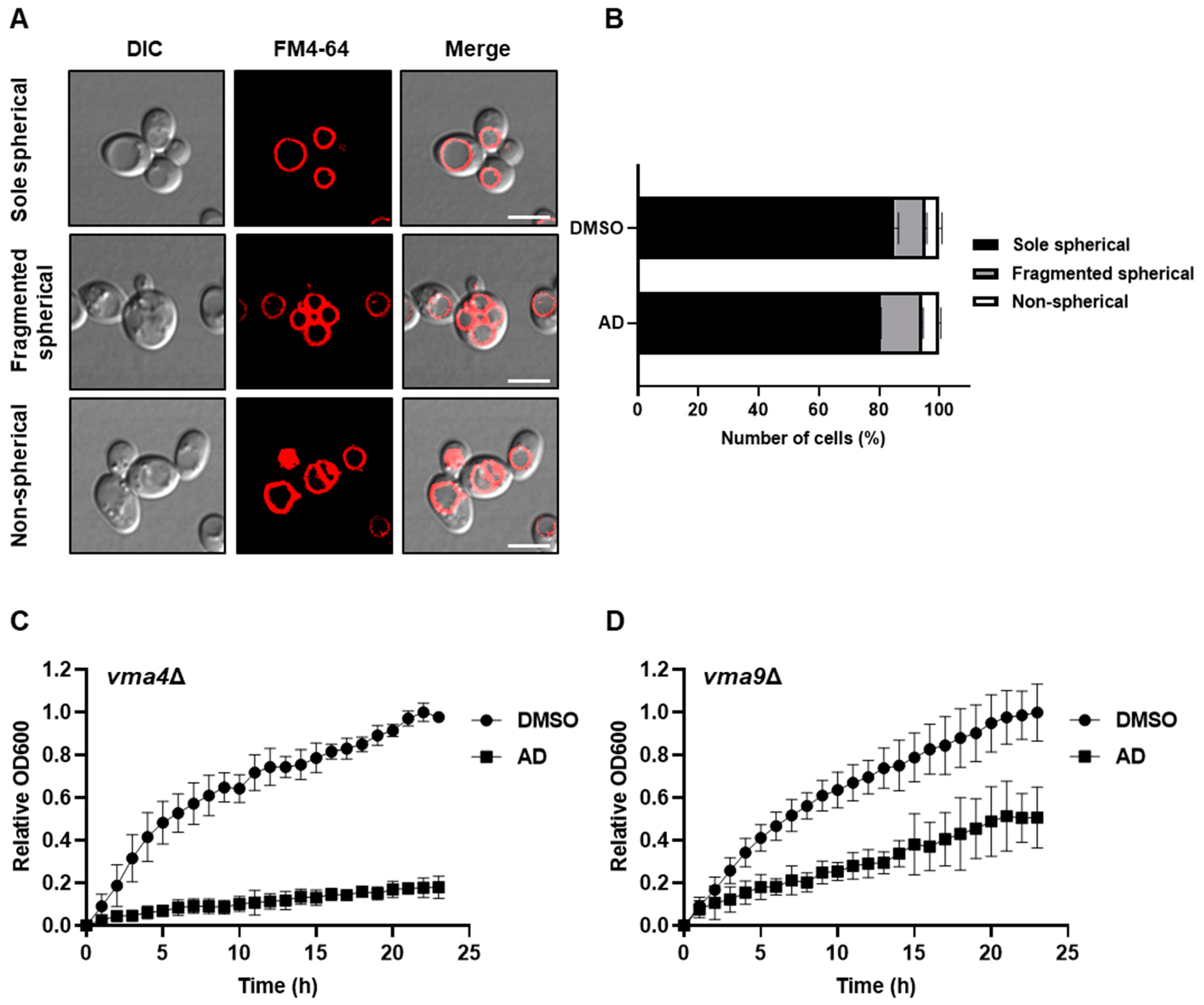 Antioxidants 12 01765 g002