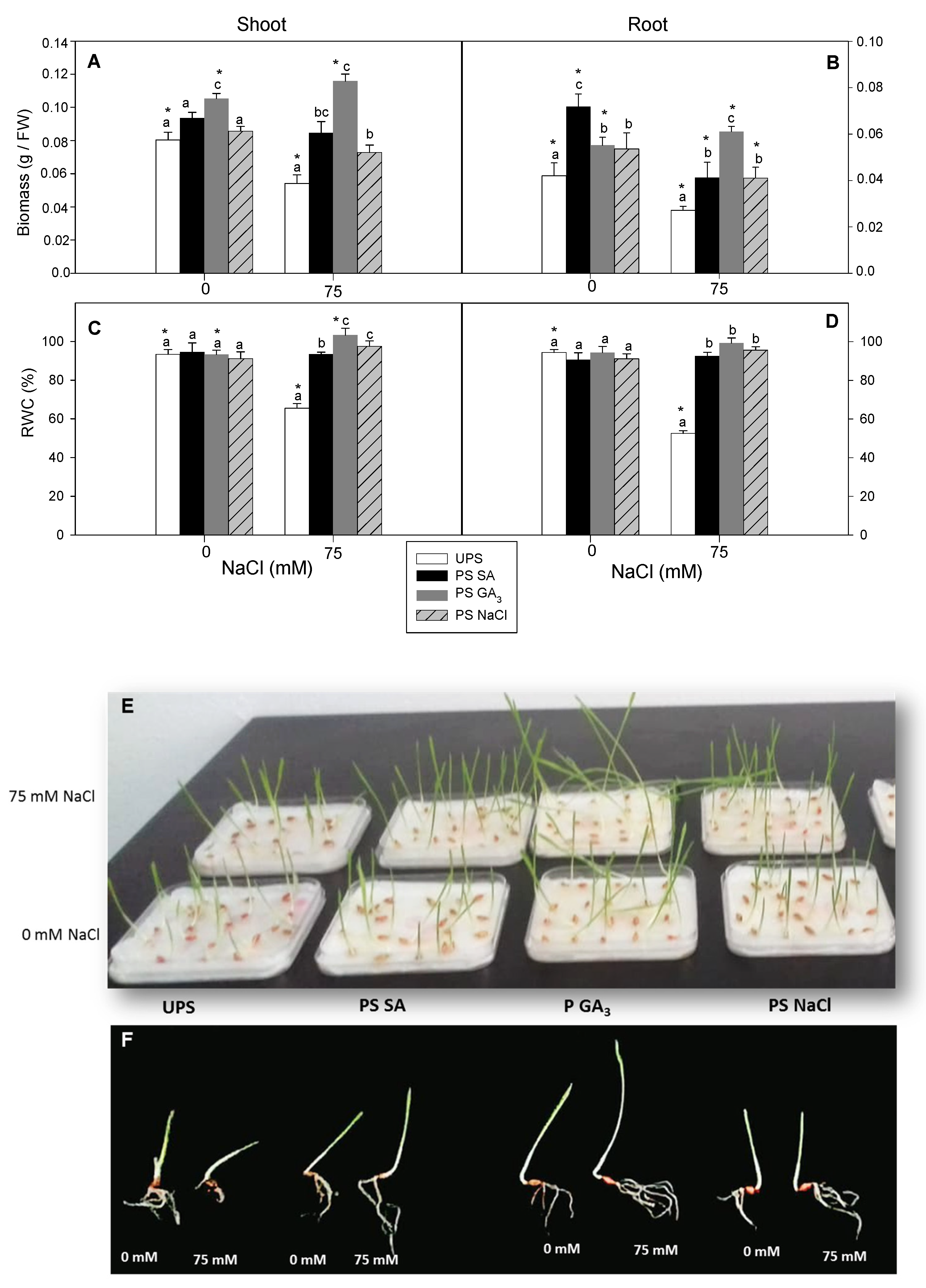 Antioxidants 12 01779 g003
