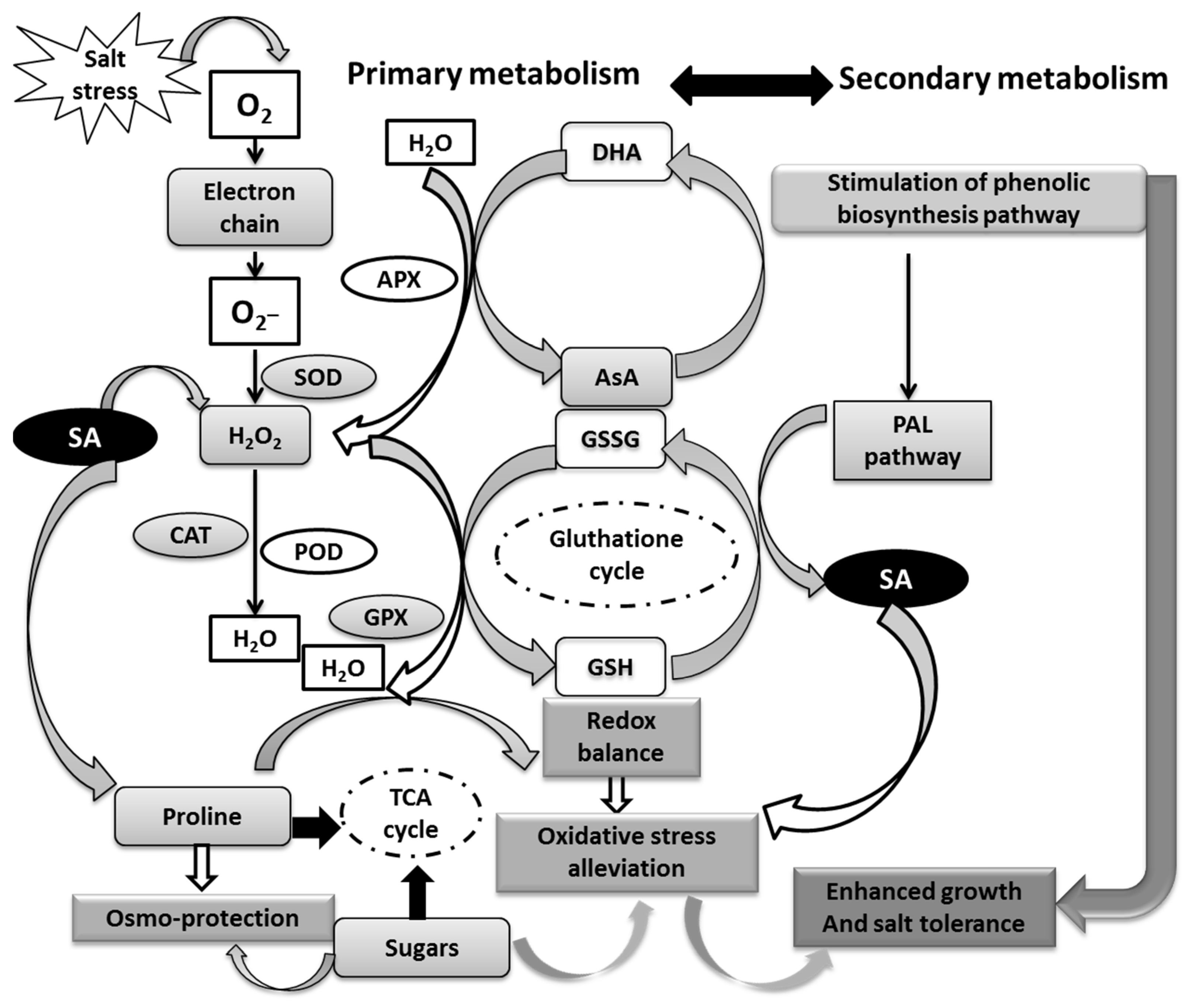 Antioxidants 12 01779 g011