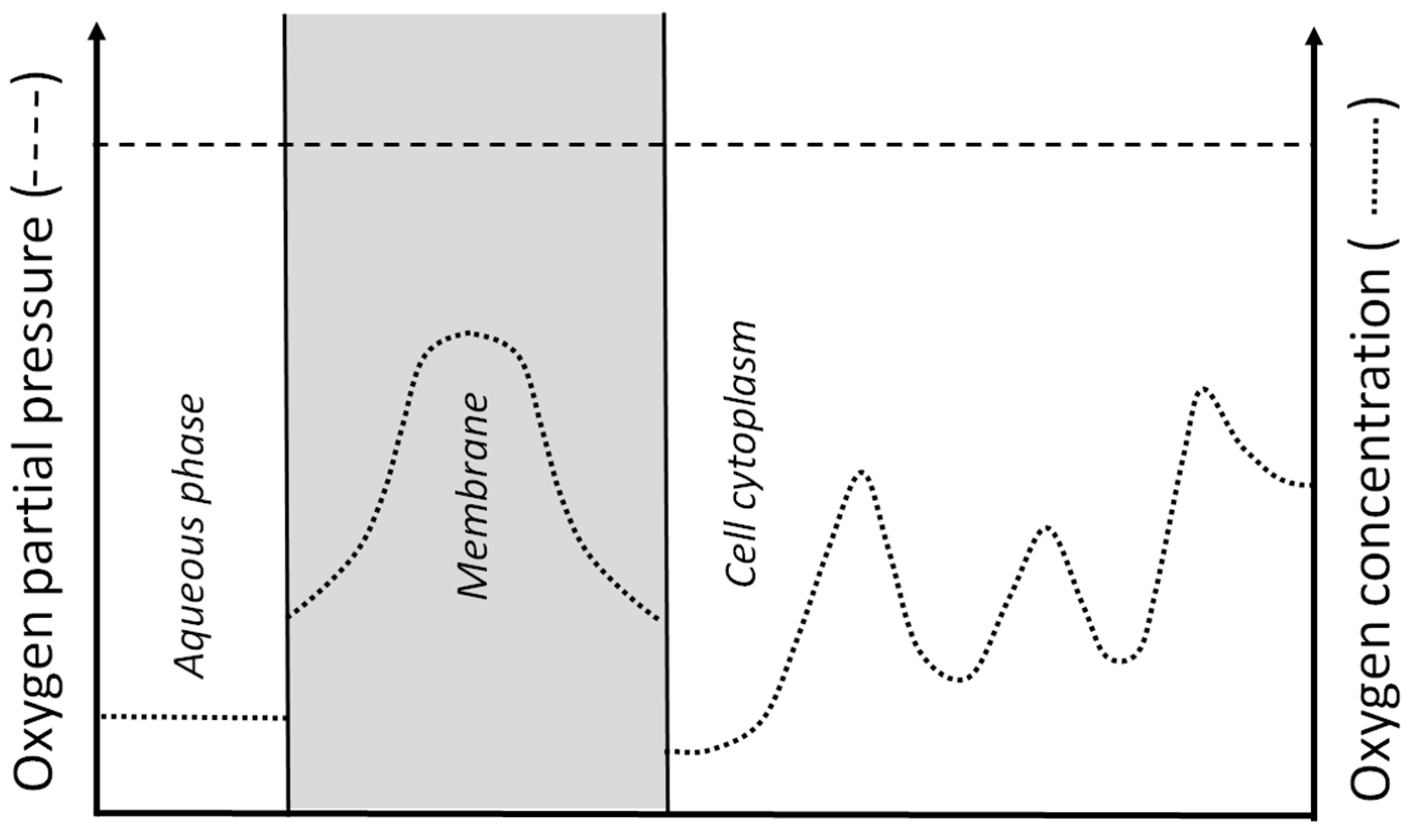 Antioxidants 12 01783 g001 Antioxidants 12 01783 g001