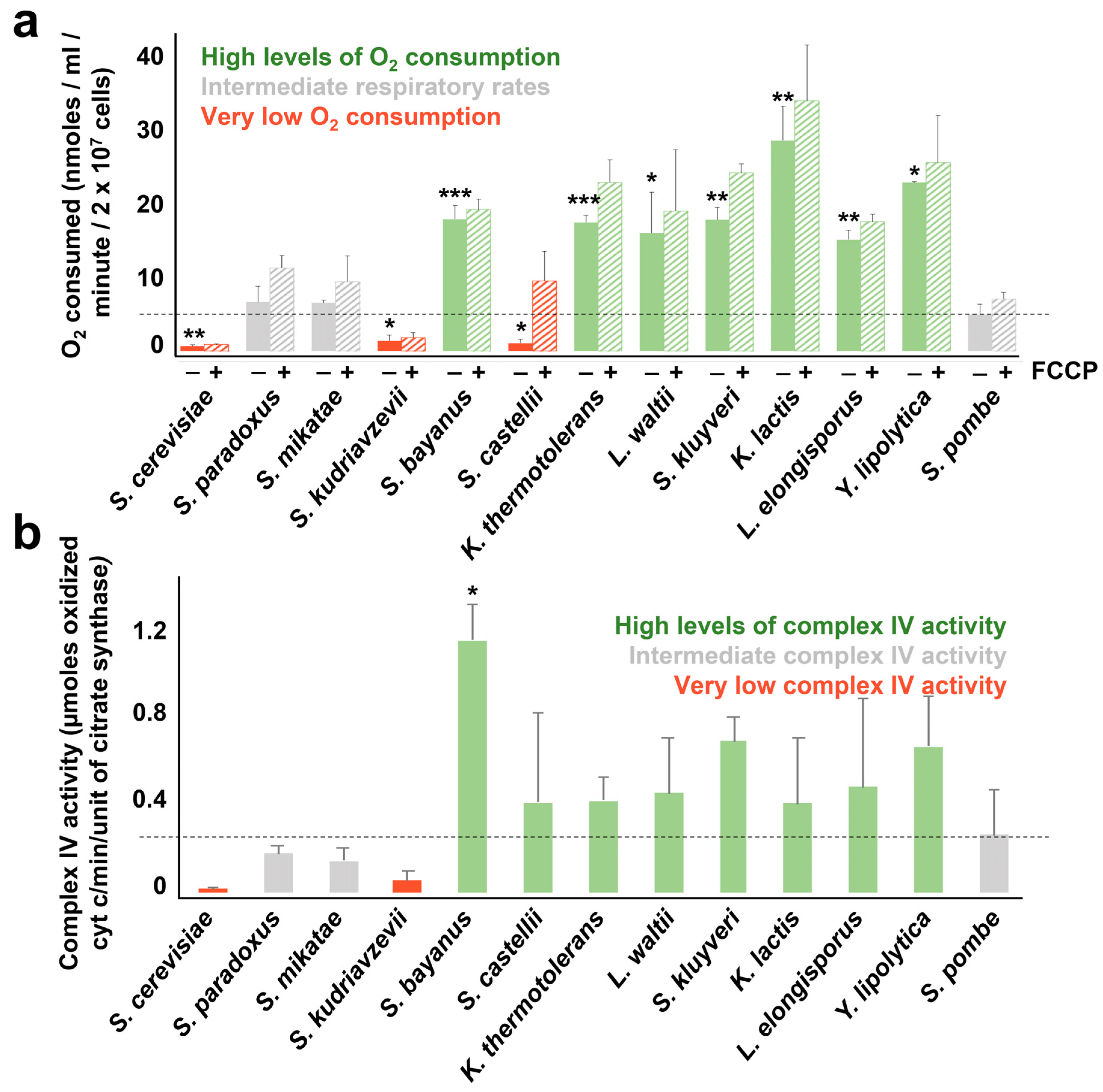Antioxidants 12 01810 g003