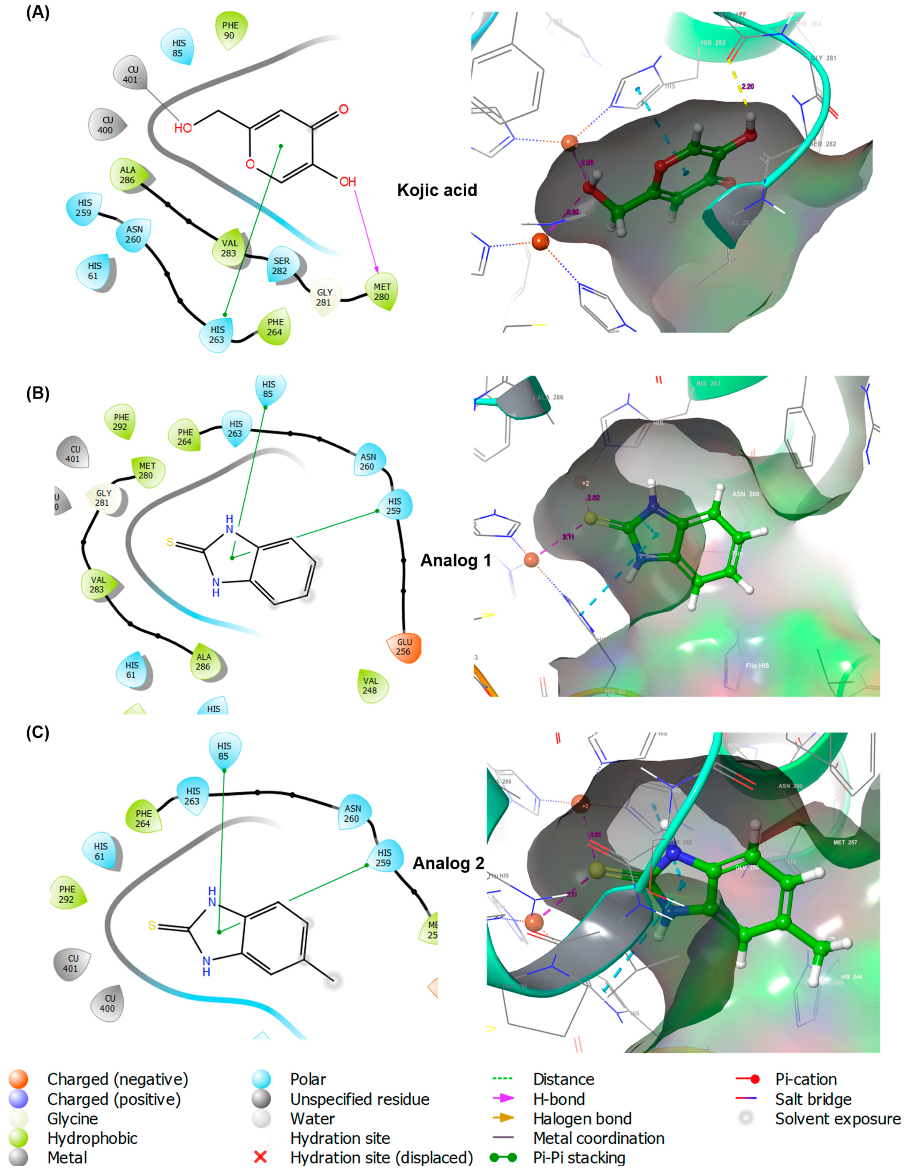 Antioxidants 12 01814 g003