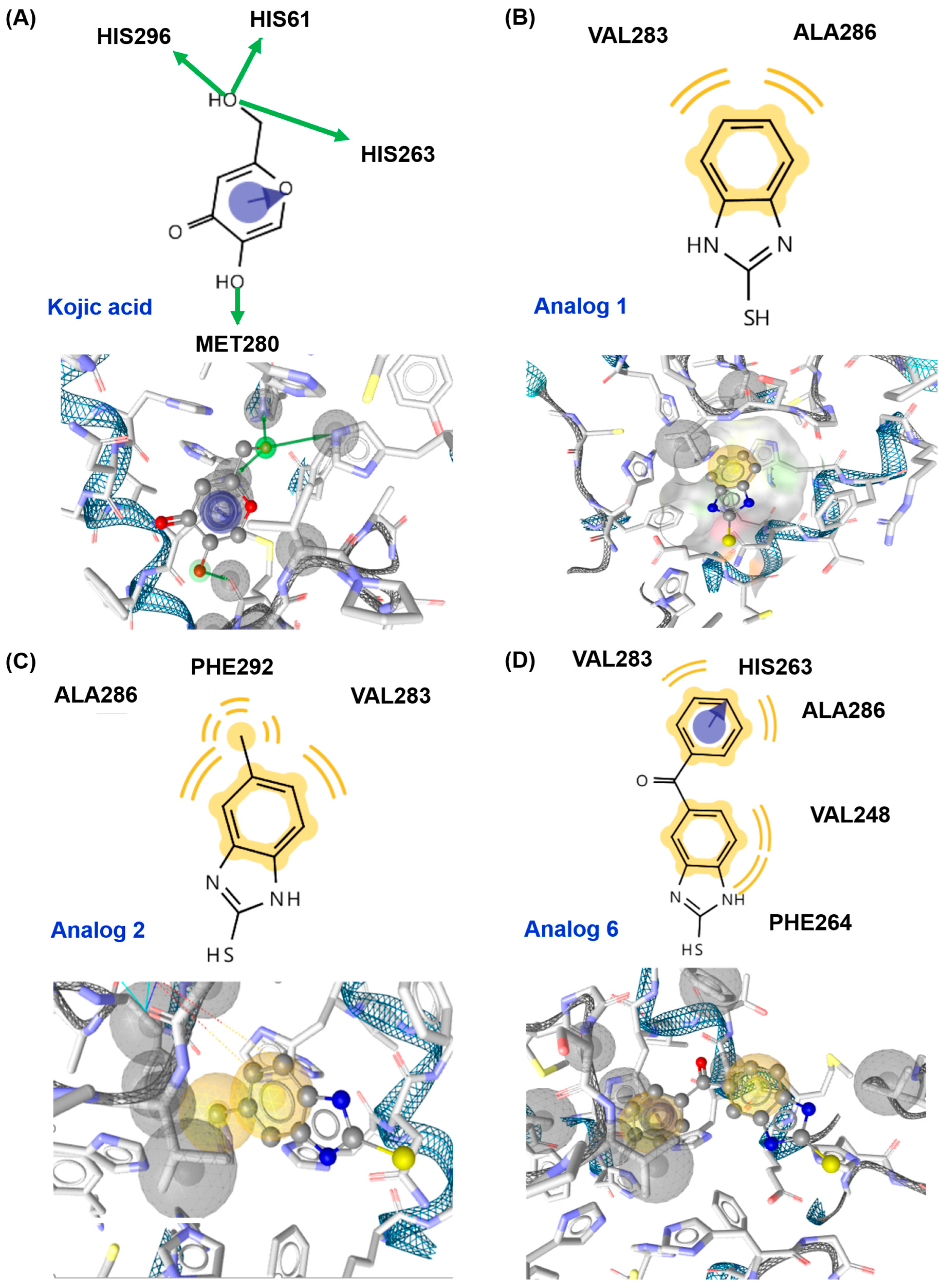 Antioxidants 12 01814 g004