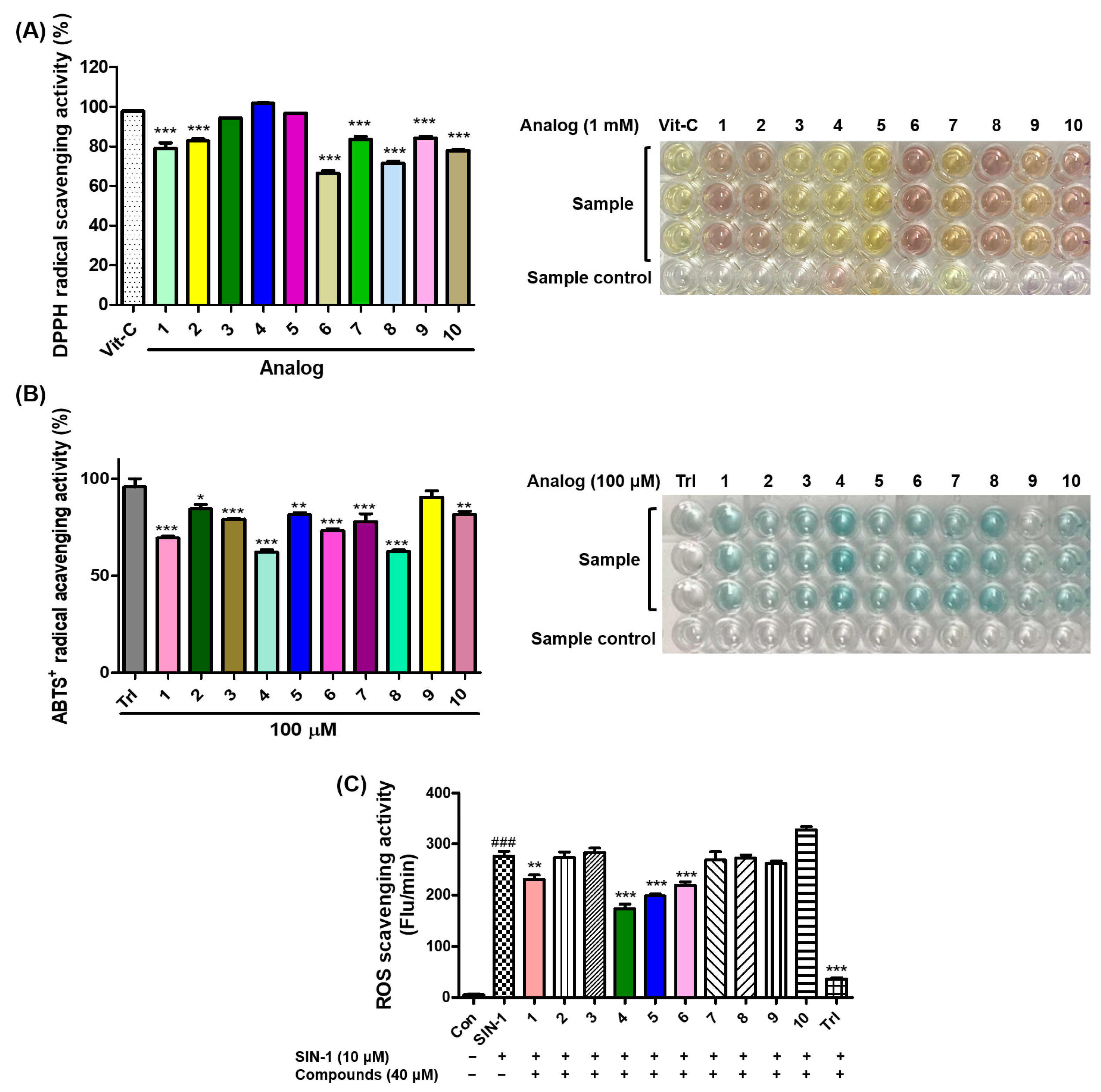 Antioxidants 12 01814 g006