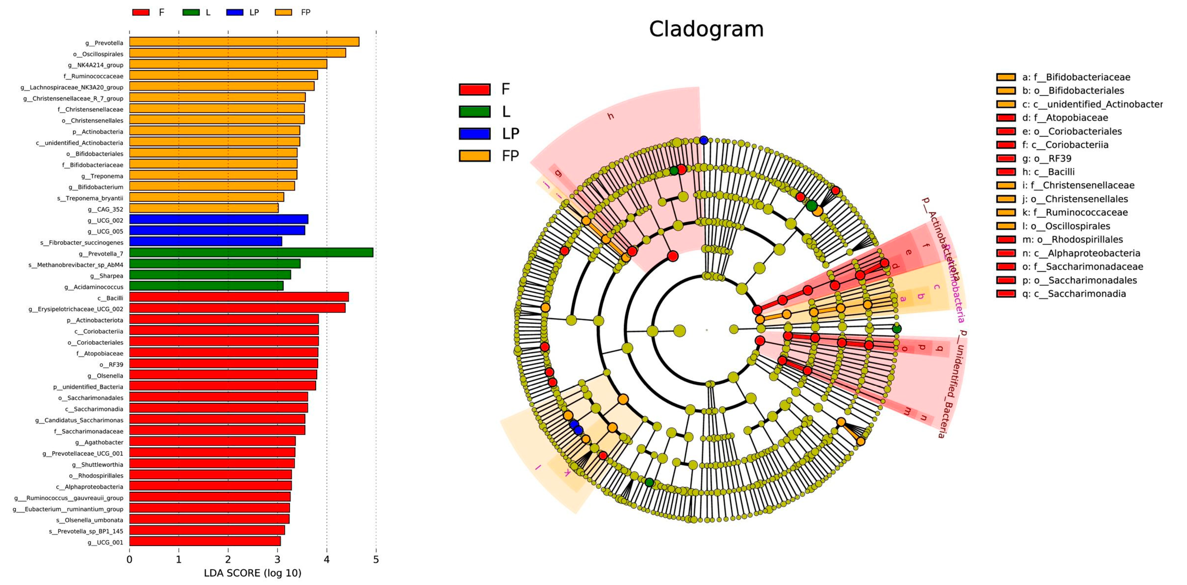 Antioxidants 12 01851 g003