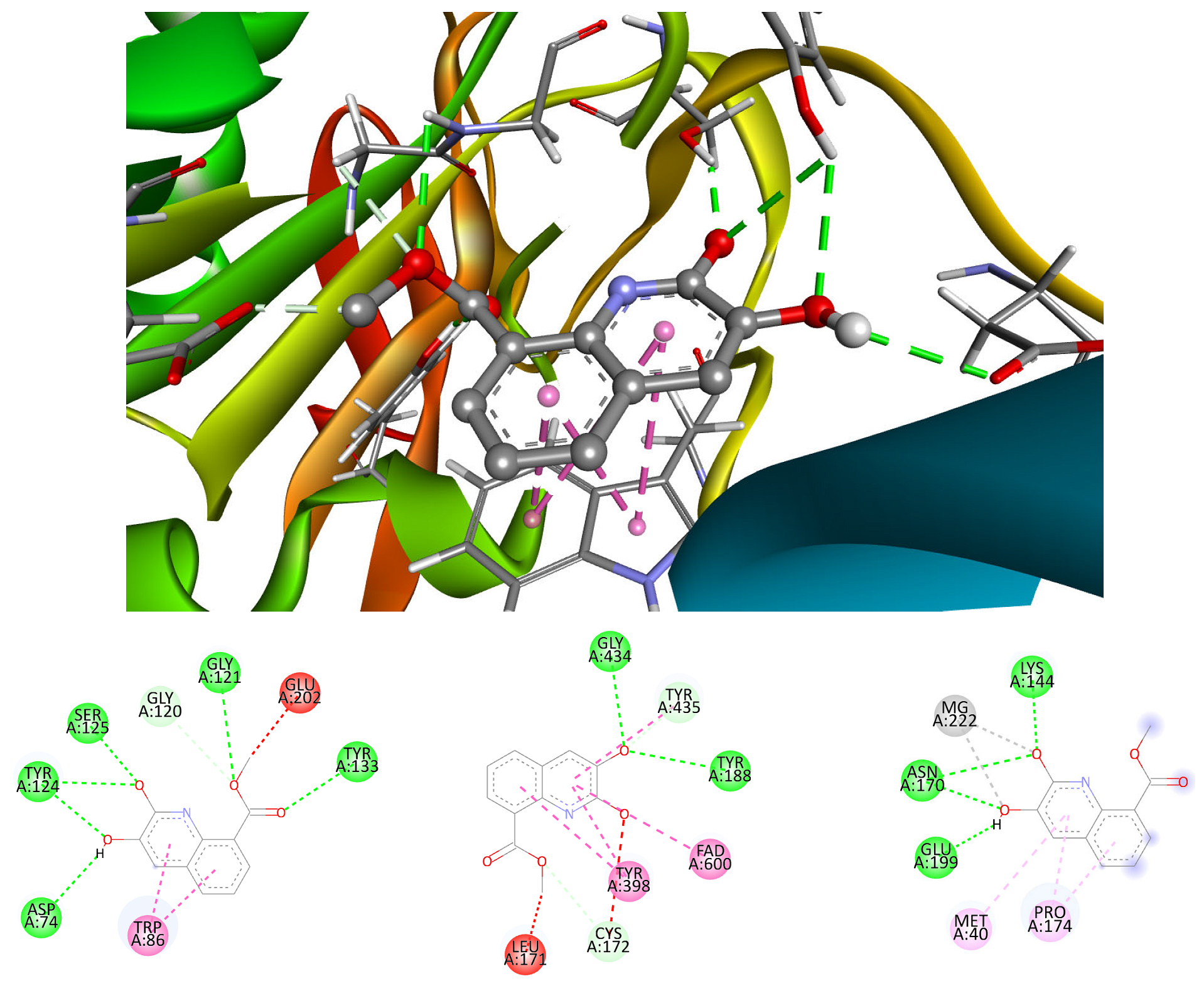 Antioxidants 12 01853 g006