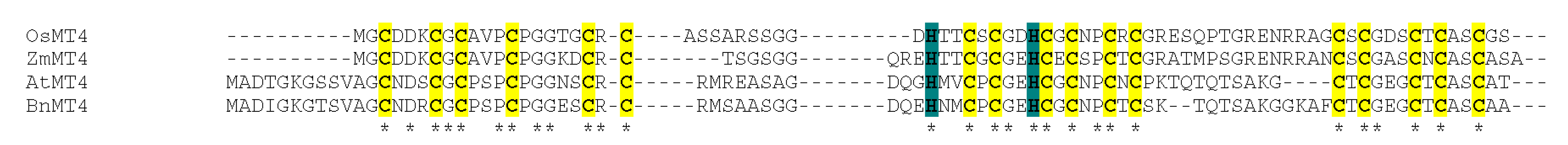 Antioxidants 12 01865 g003b