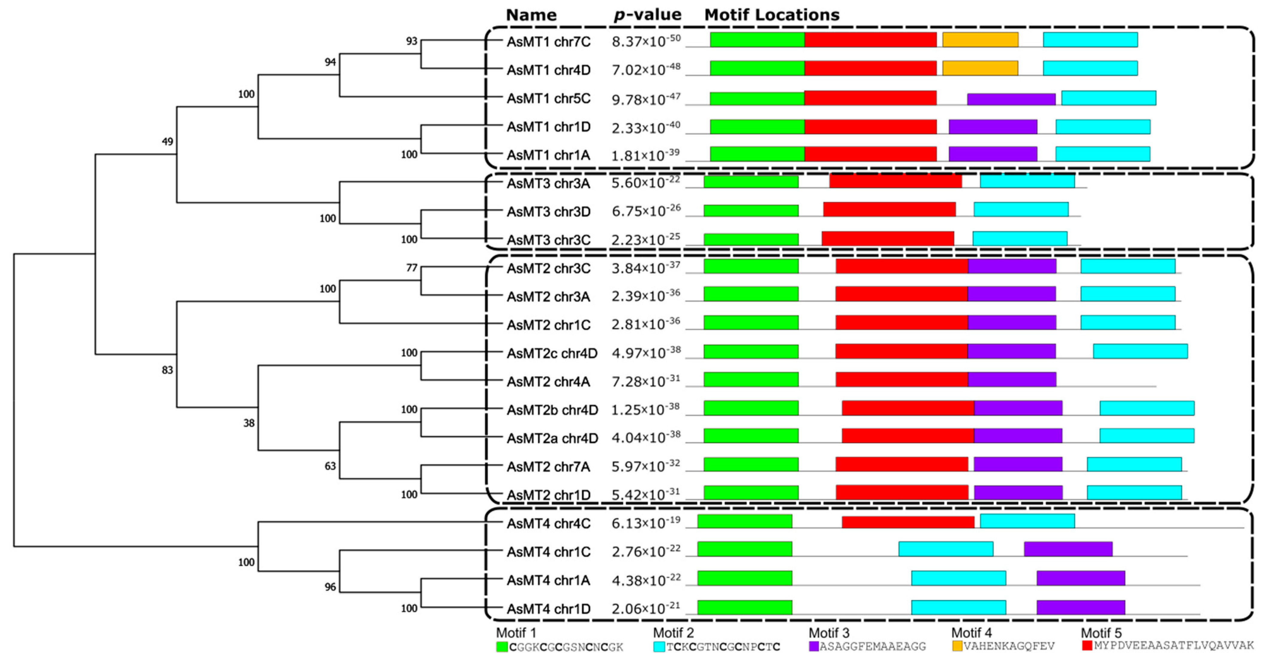 Antioxidants 12 01865 g004