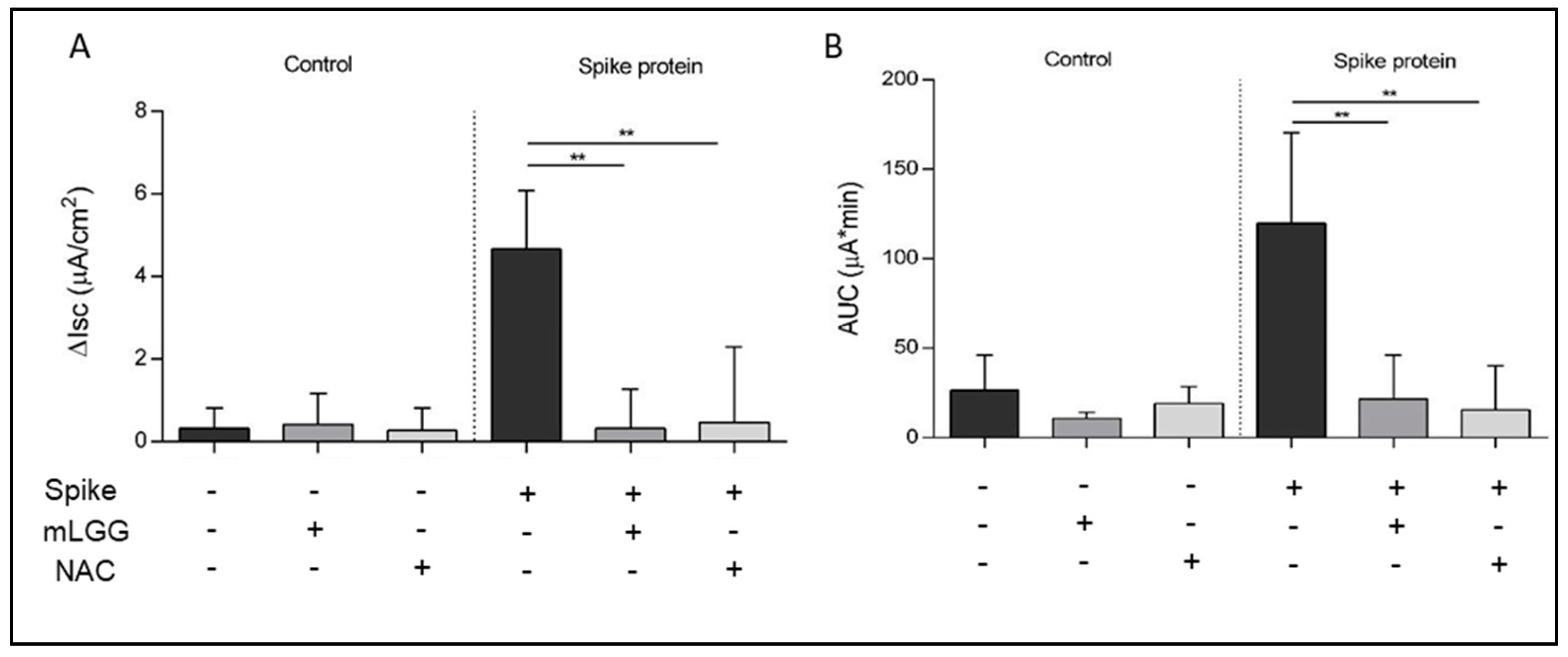 Antioxidants 12 01878 g001