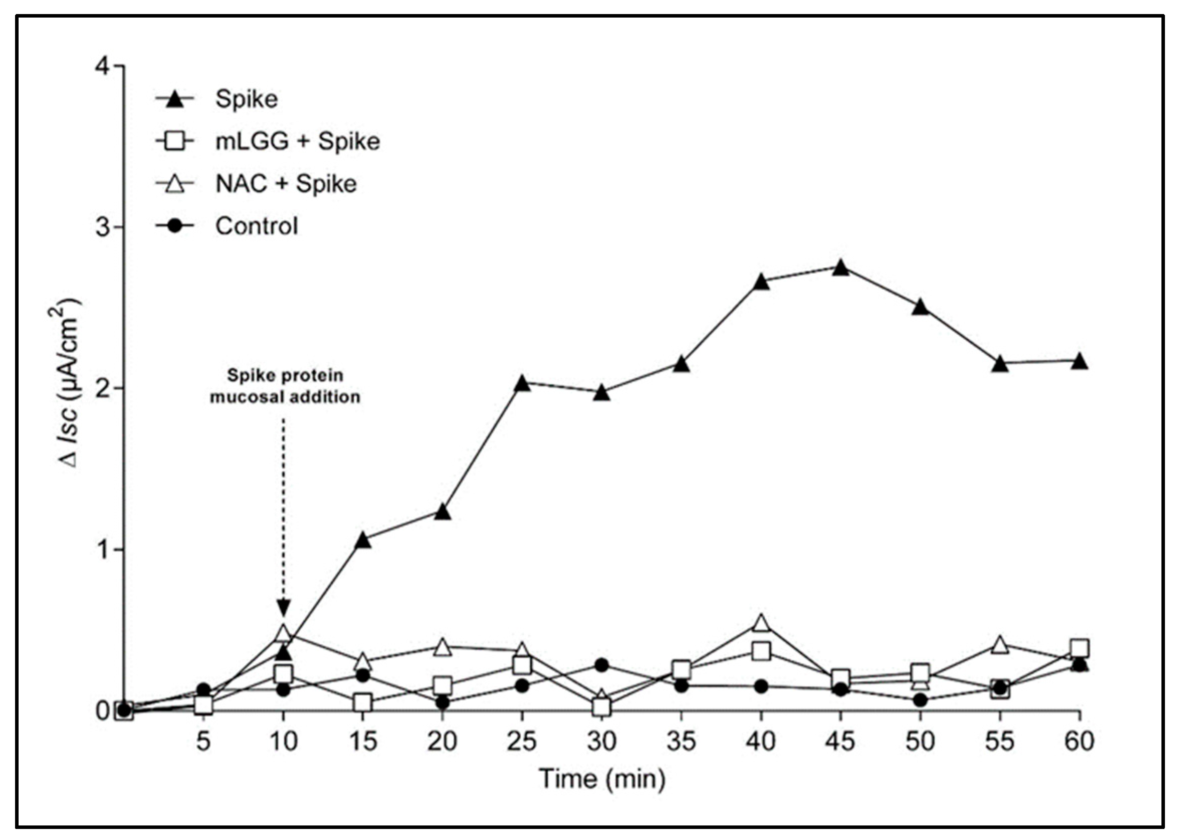 Antioxidants 12 01878 g002