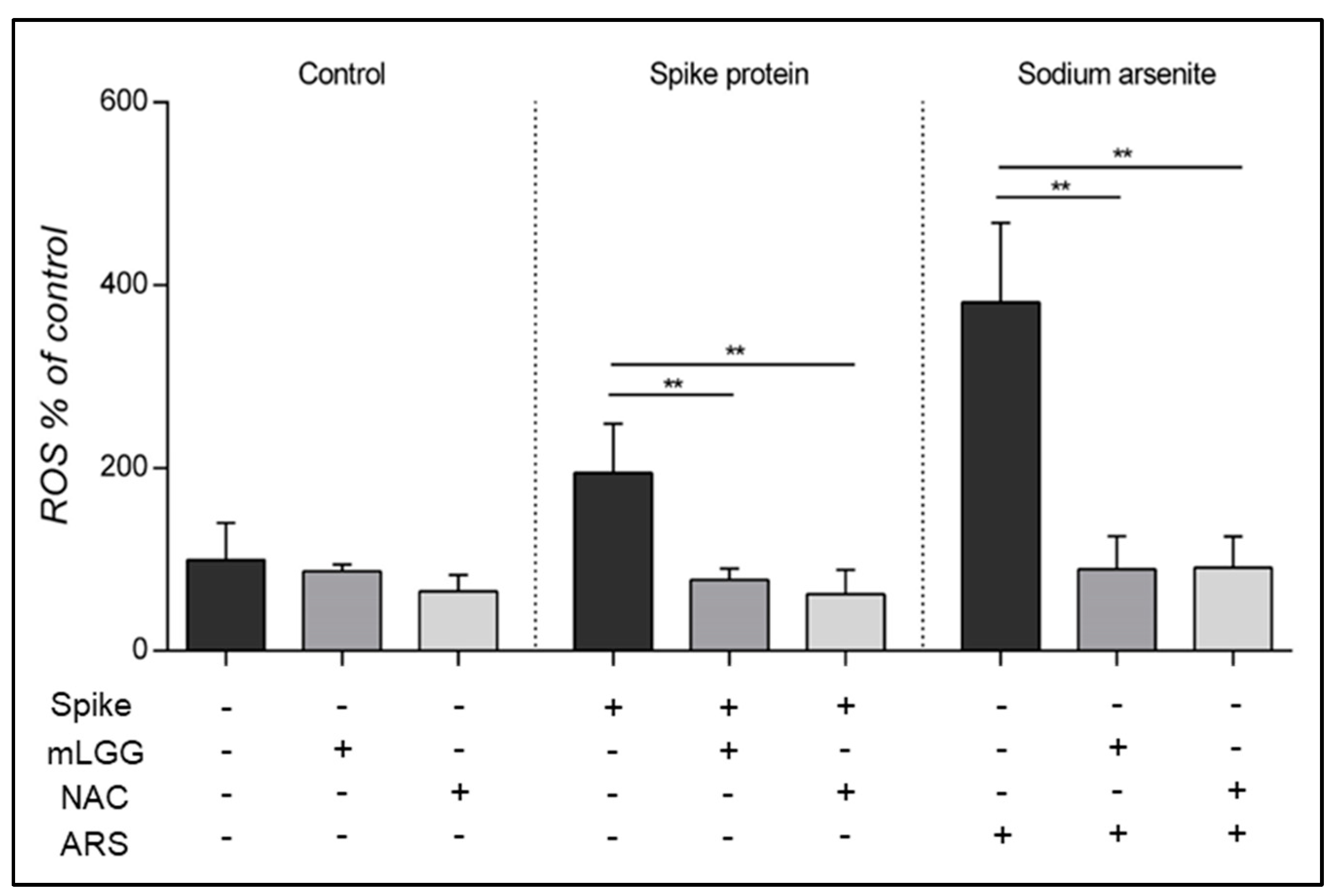 Antioxidants 12 01878 g004