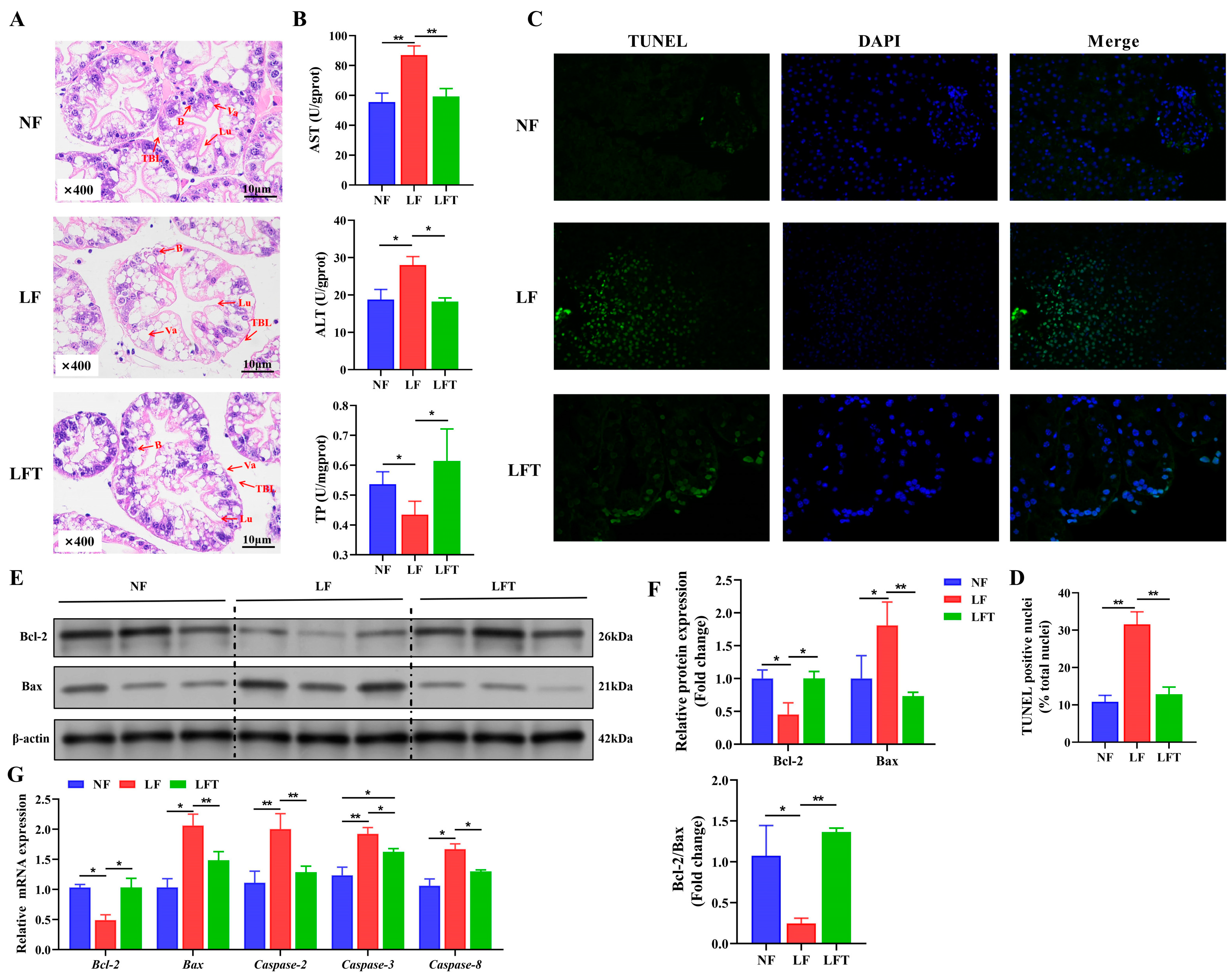 Antioxidants 12 01879 g001 Antioxidants 12 01879 g001