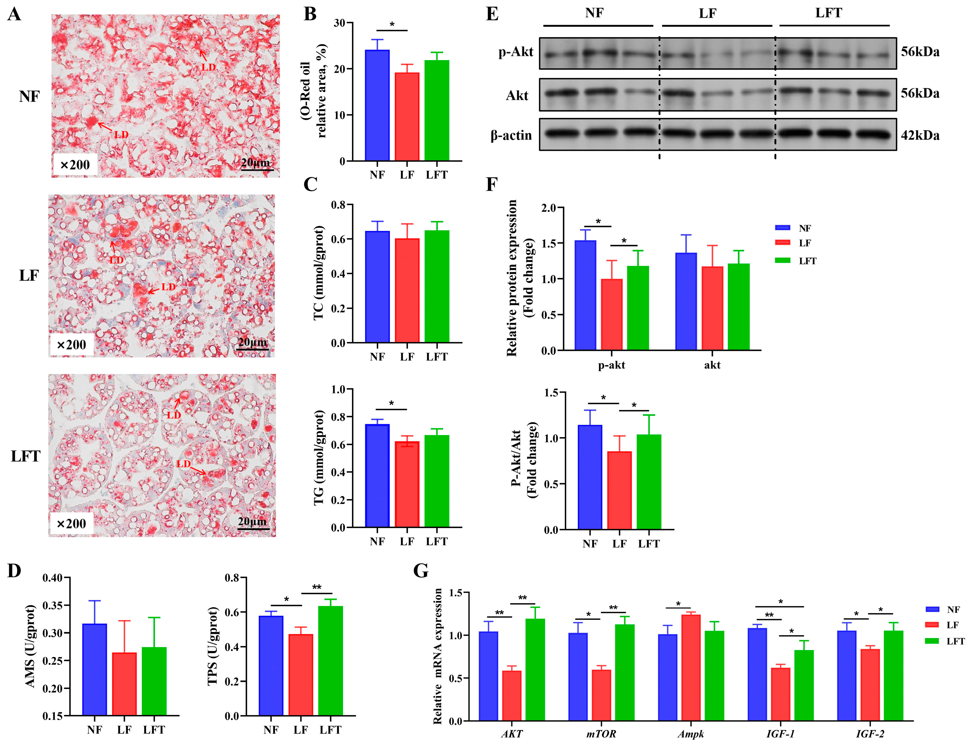 Antioxidants 12 01879 g002 Antioxidants 12 01879 g002