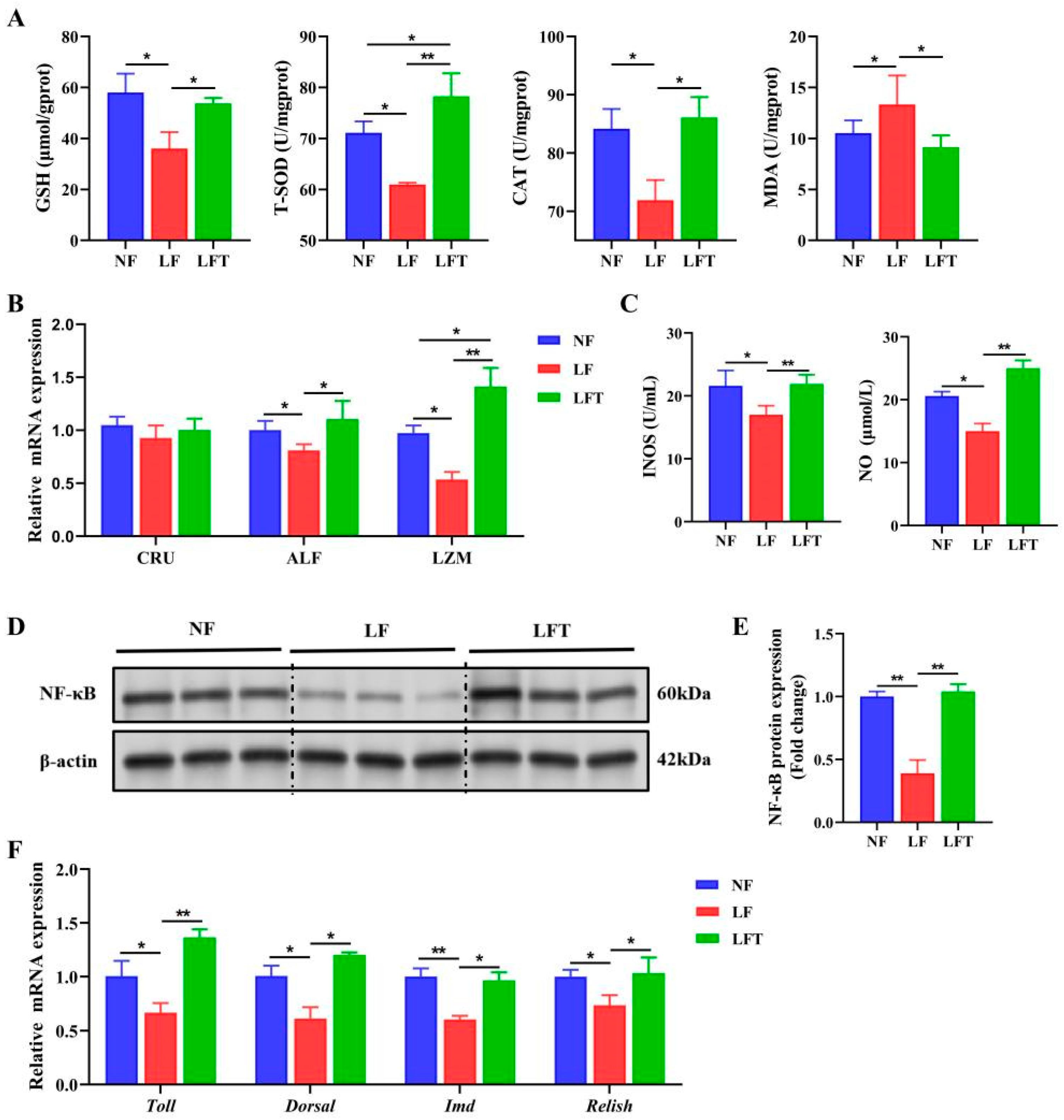 Antioxidants 12 01879 g003 Antioxidants 12 01879 g003
