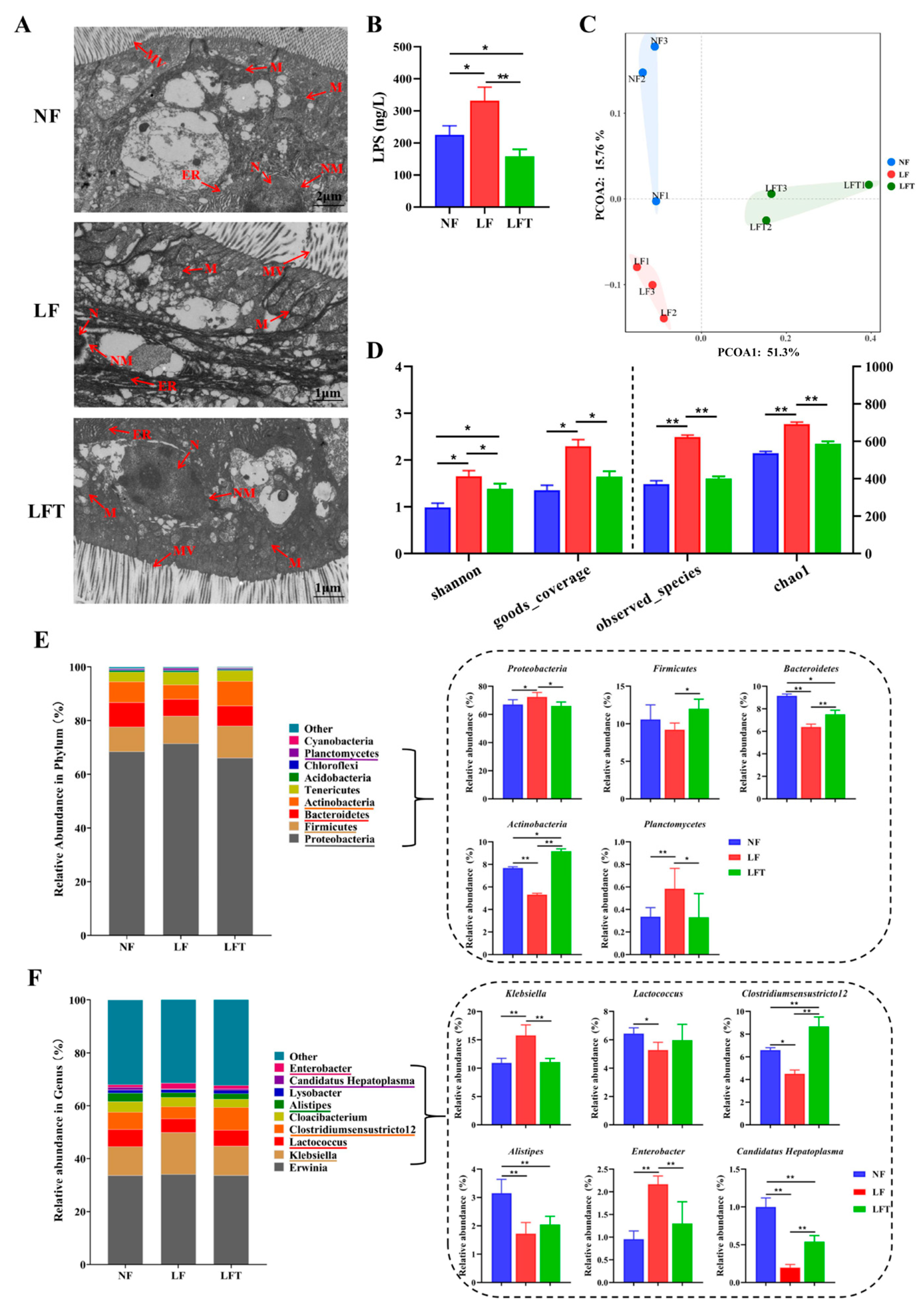 Antioxidants 12 01879 g004 Antioxidants 12 01879 g004