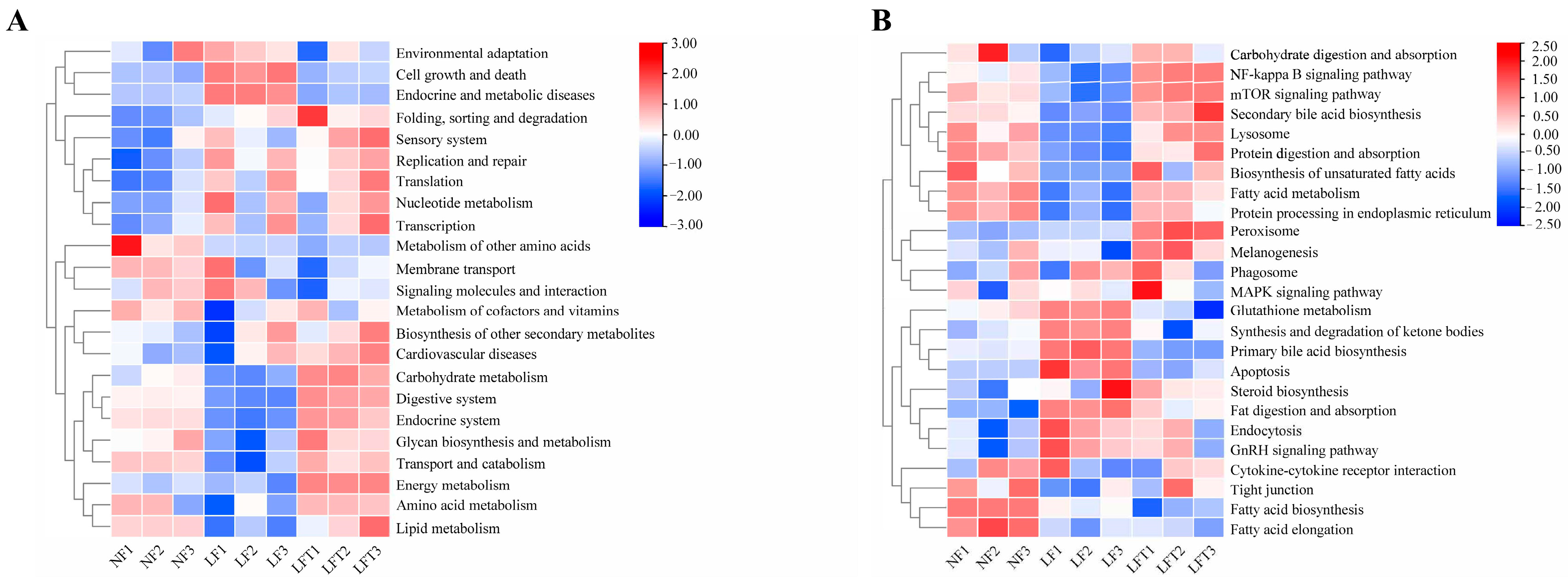 Antioxidants 12 01879 g006 Antioxidants 12 01879 g006