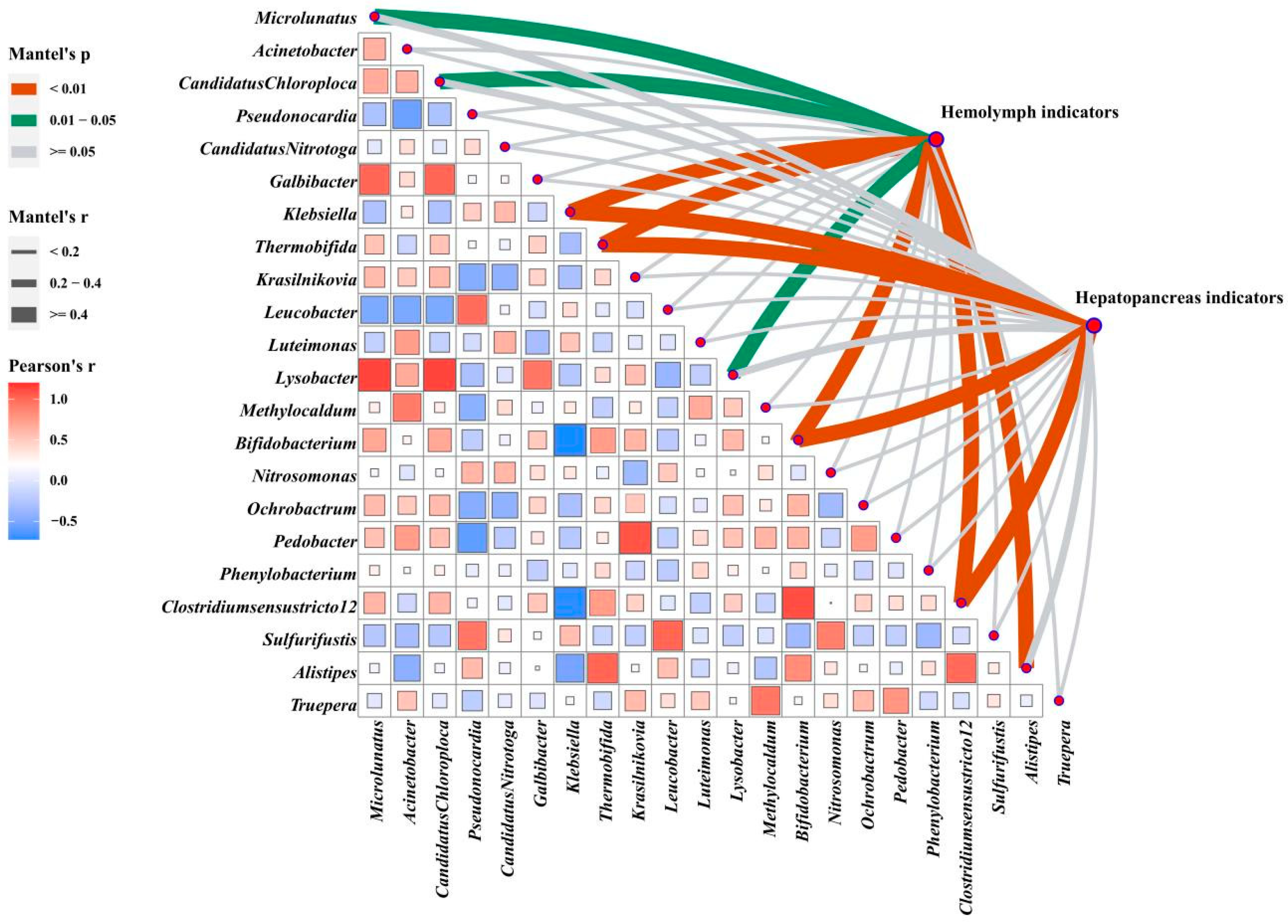 Antioxidants 12 01879 g007 Antioxidants 12 01879 g007