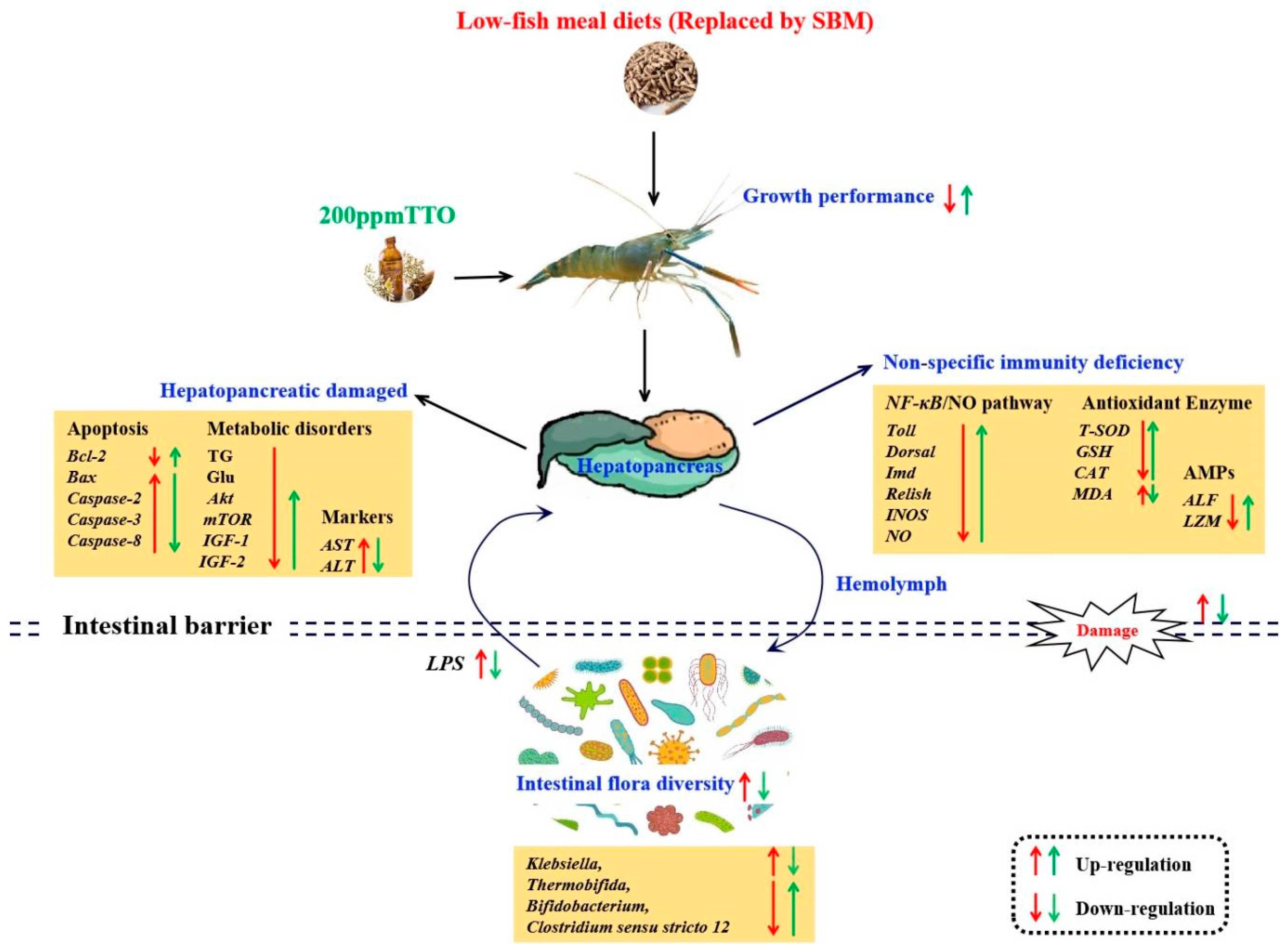 Antioxidants 12 01879 g008 Antioxidants 12 01879 g008