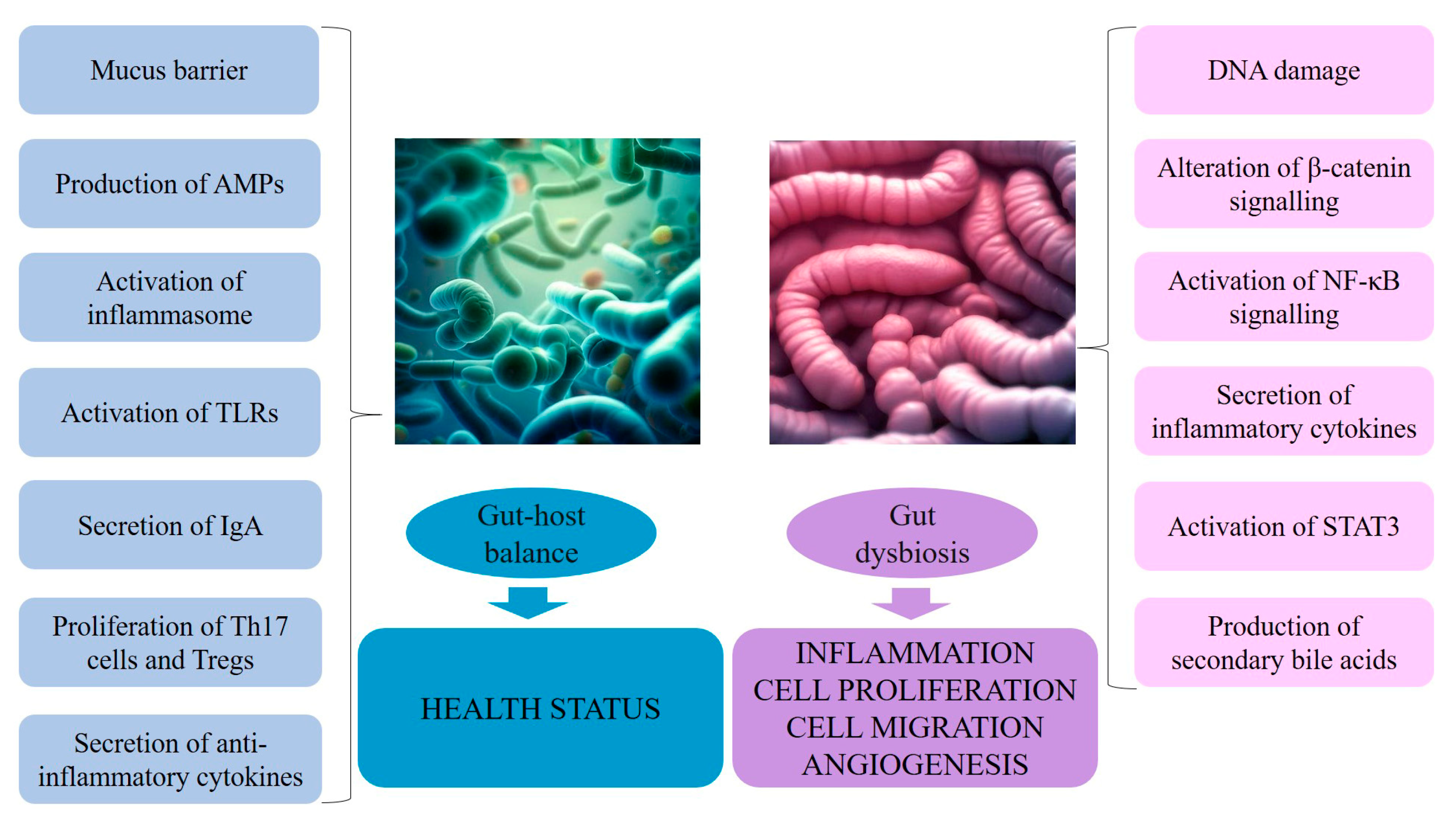 Antioxidants 12 01898 g002