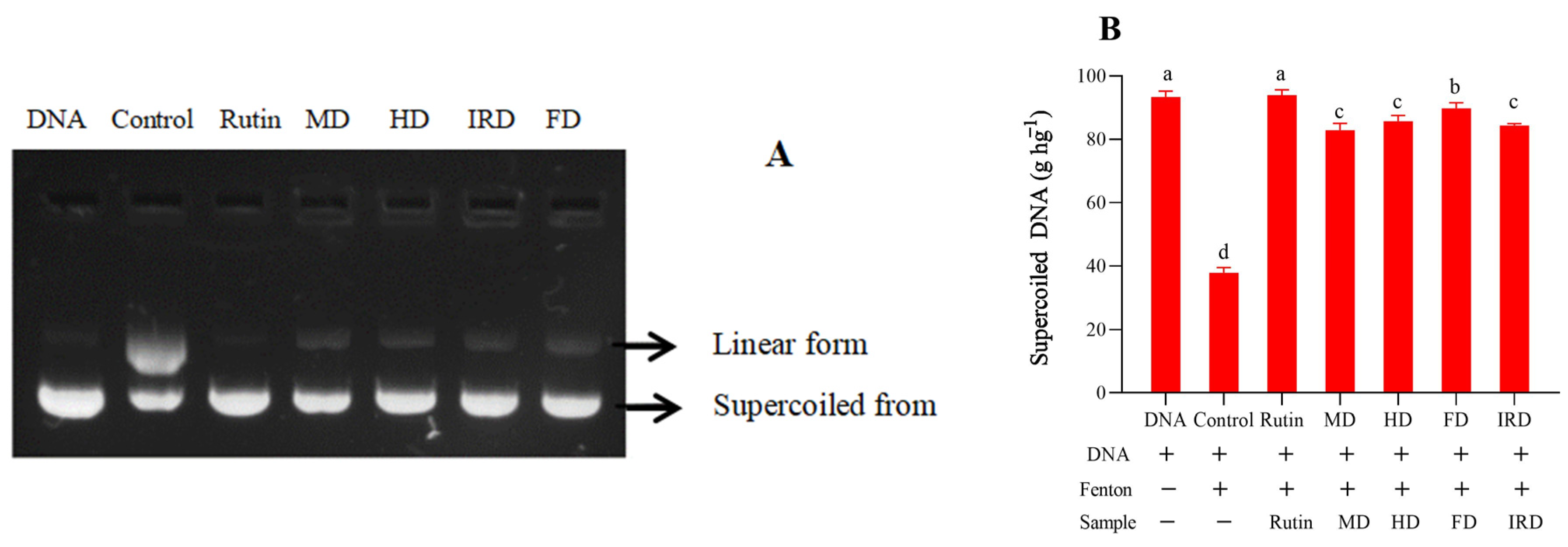 Antioxidants 12 01911 g004