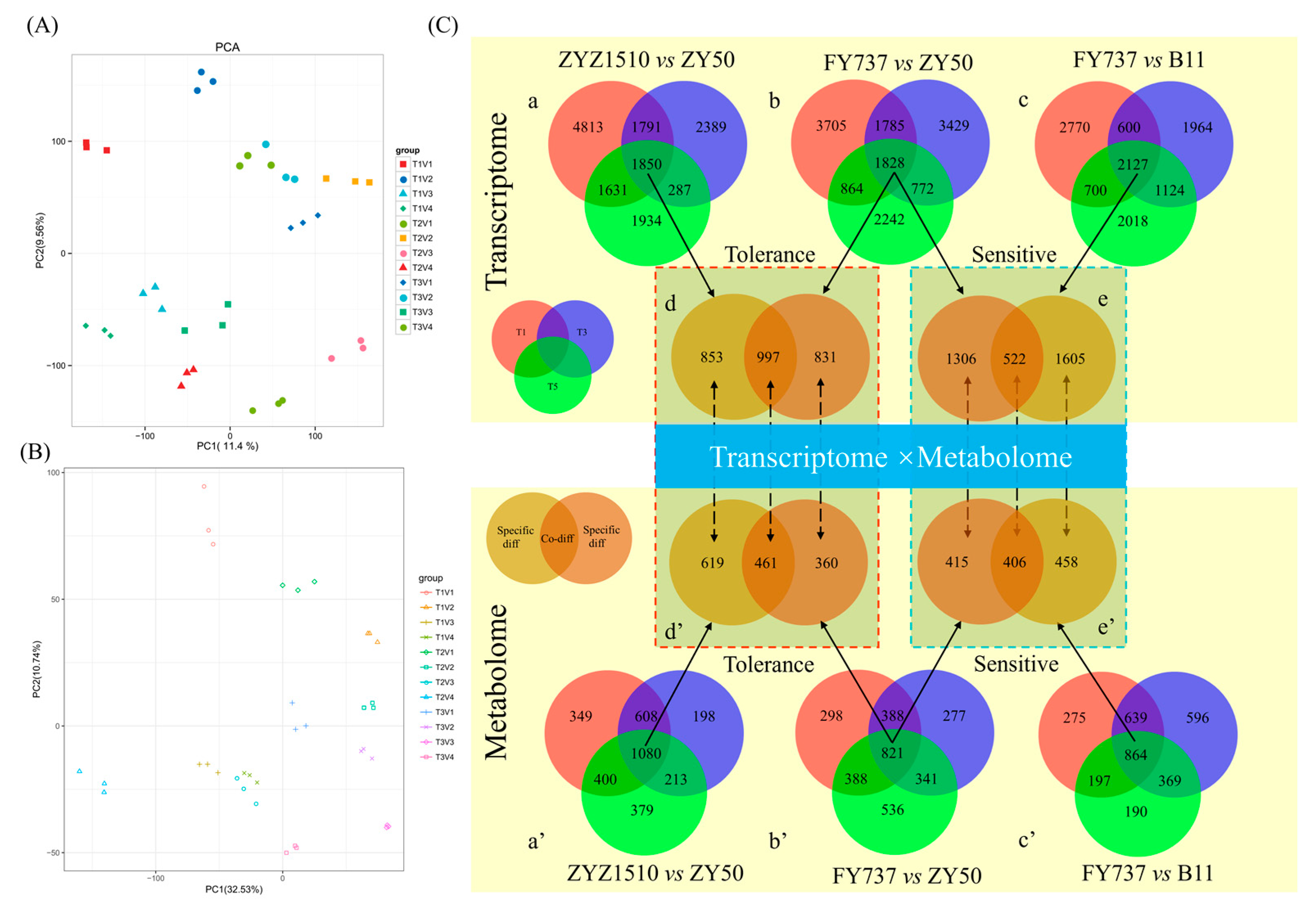 Antioxidants 12 01915 g006