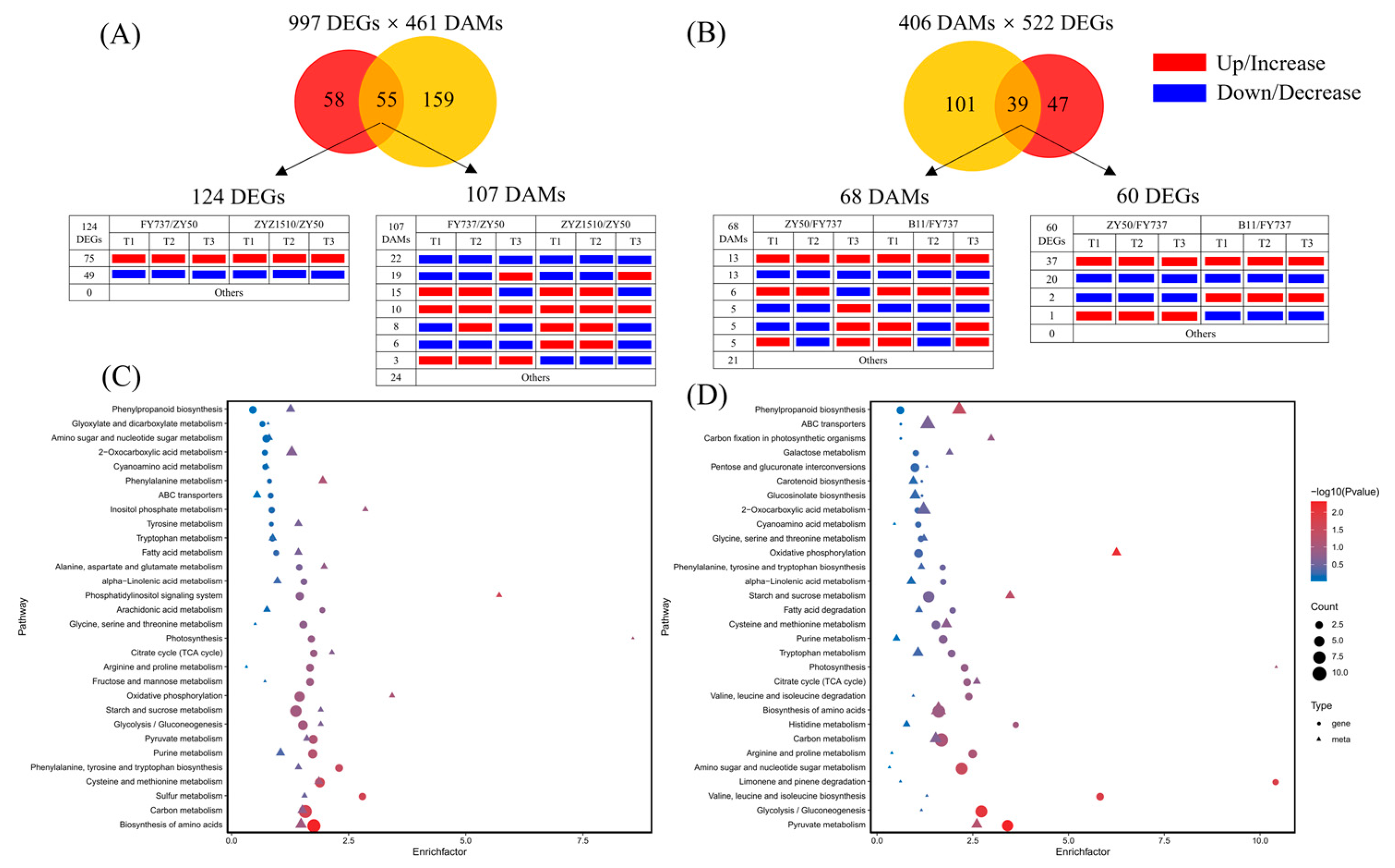 Antioxidants 12 01915 g007