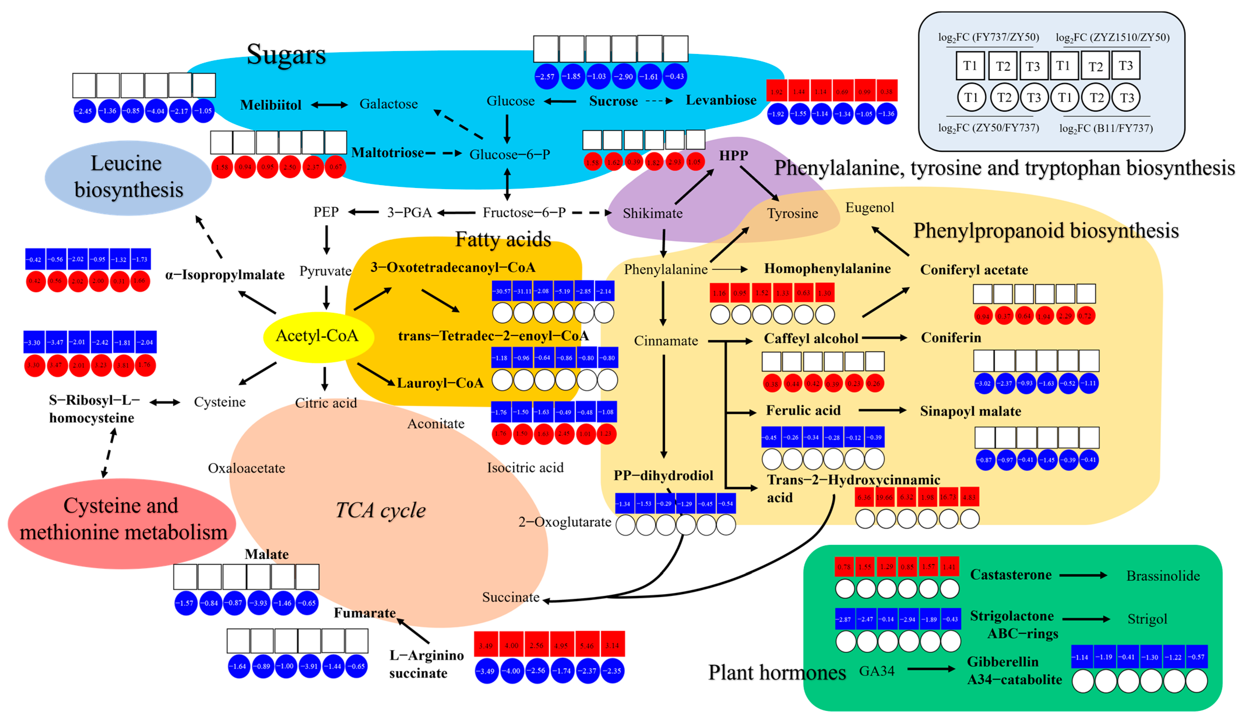 Antioxidants 12 01915 g008