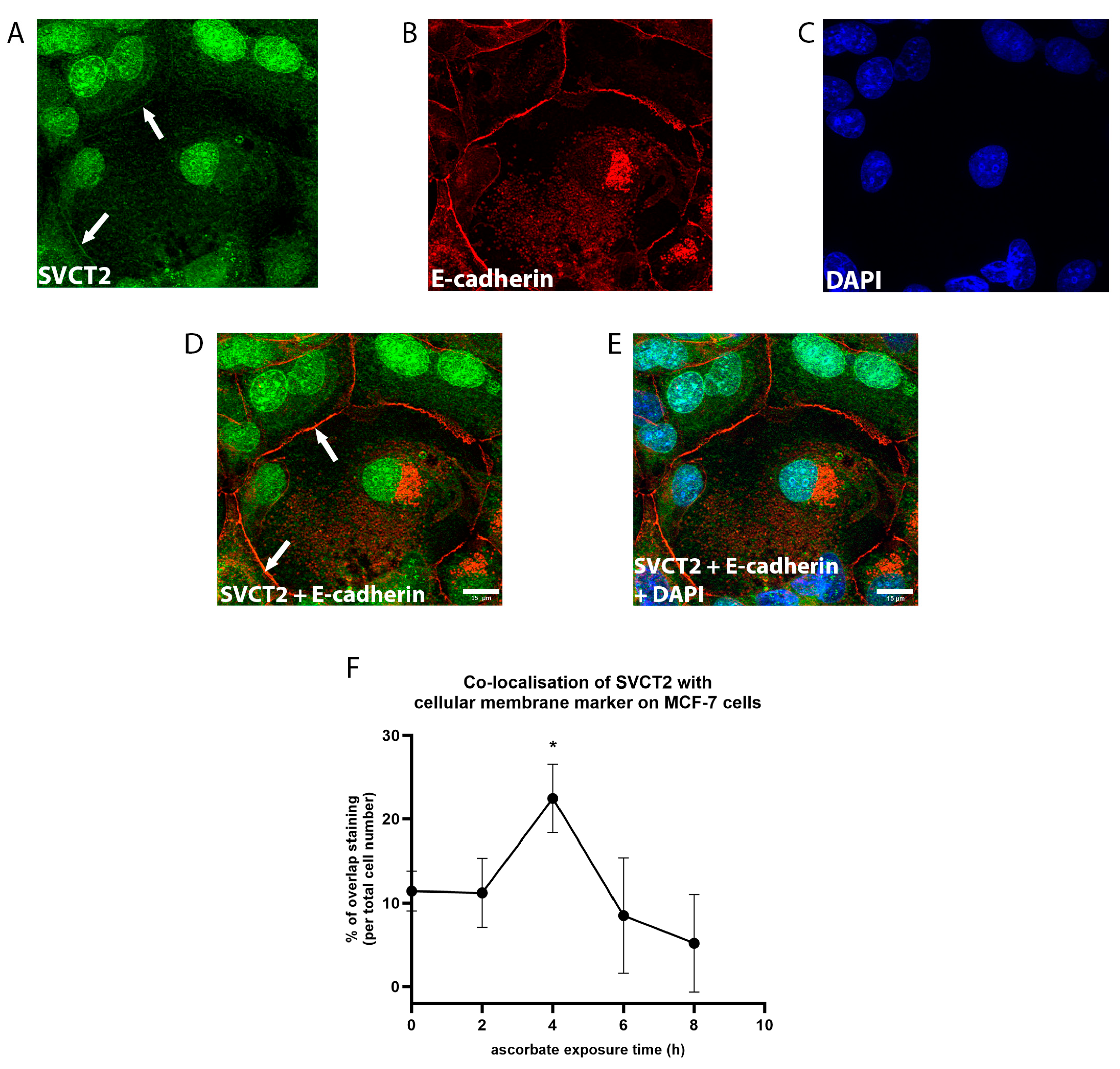 Antioxidants 12 01929 g006