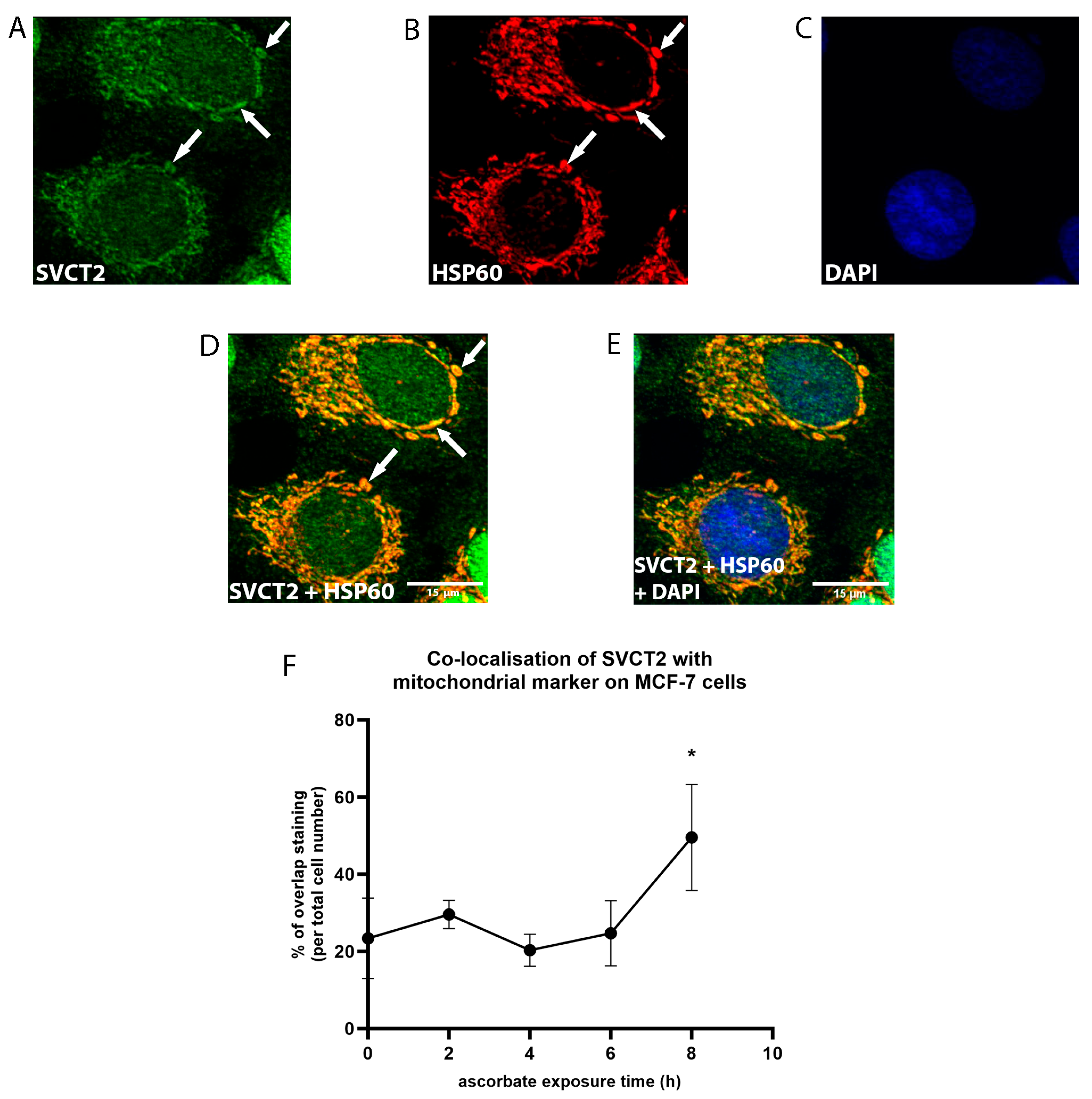 Antioxidants 12 01929 g008