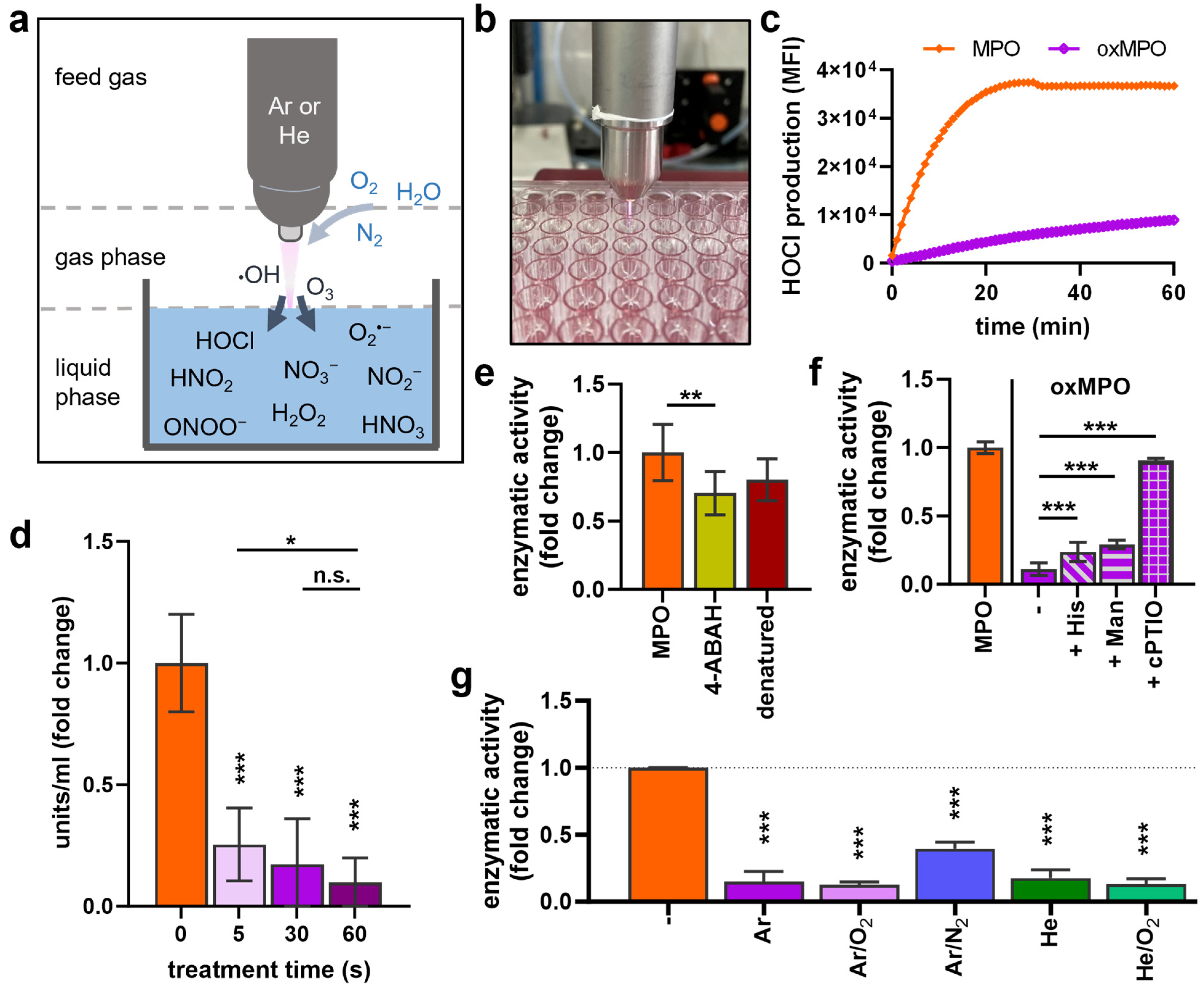 Antioxidants 12 01936 g002