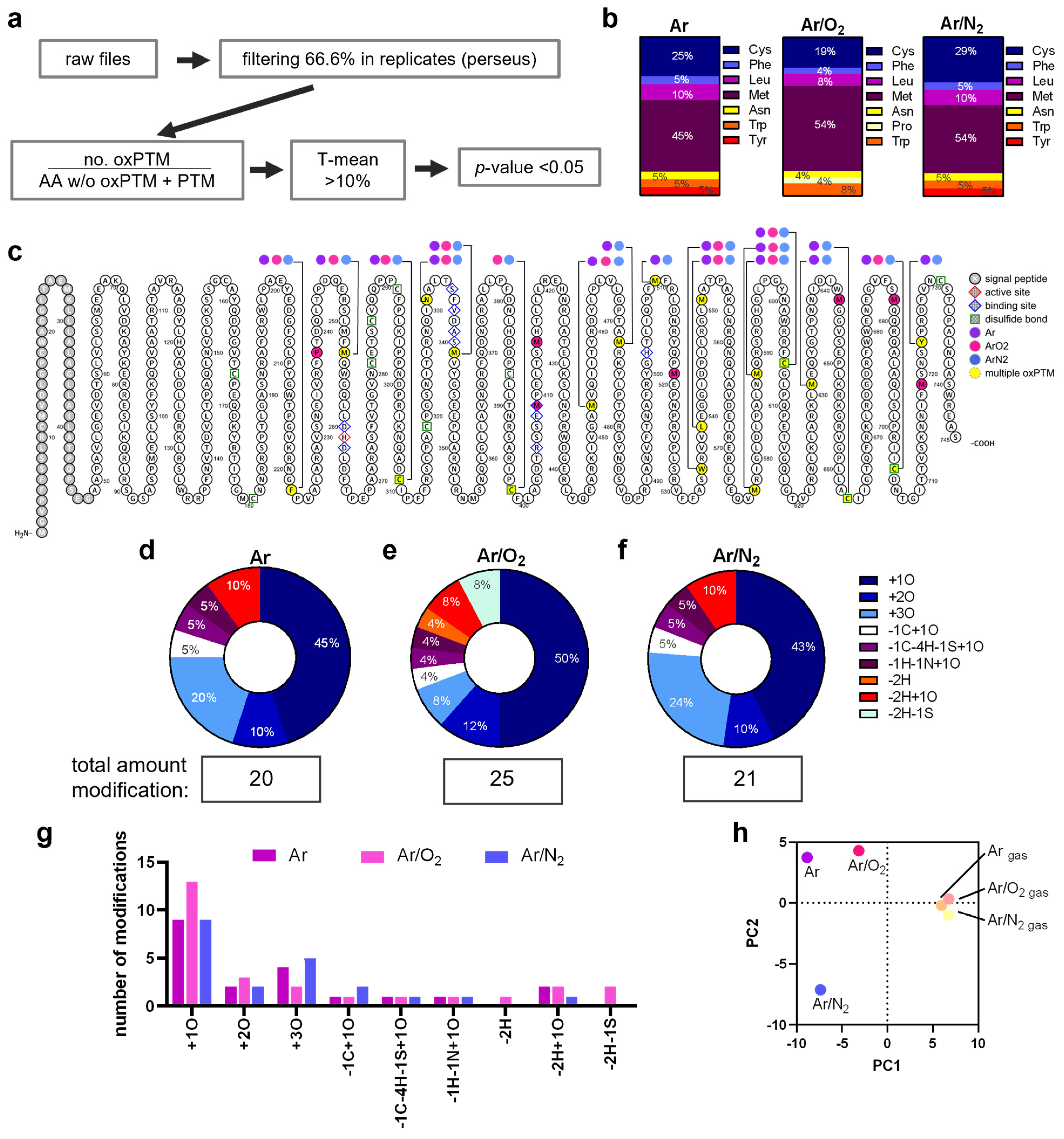Antioxidants 12 01936 g004