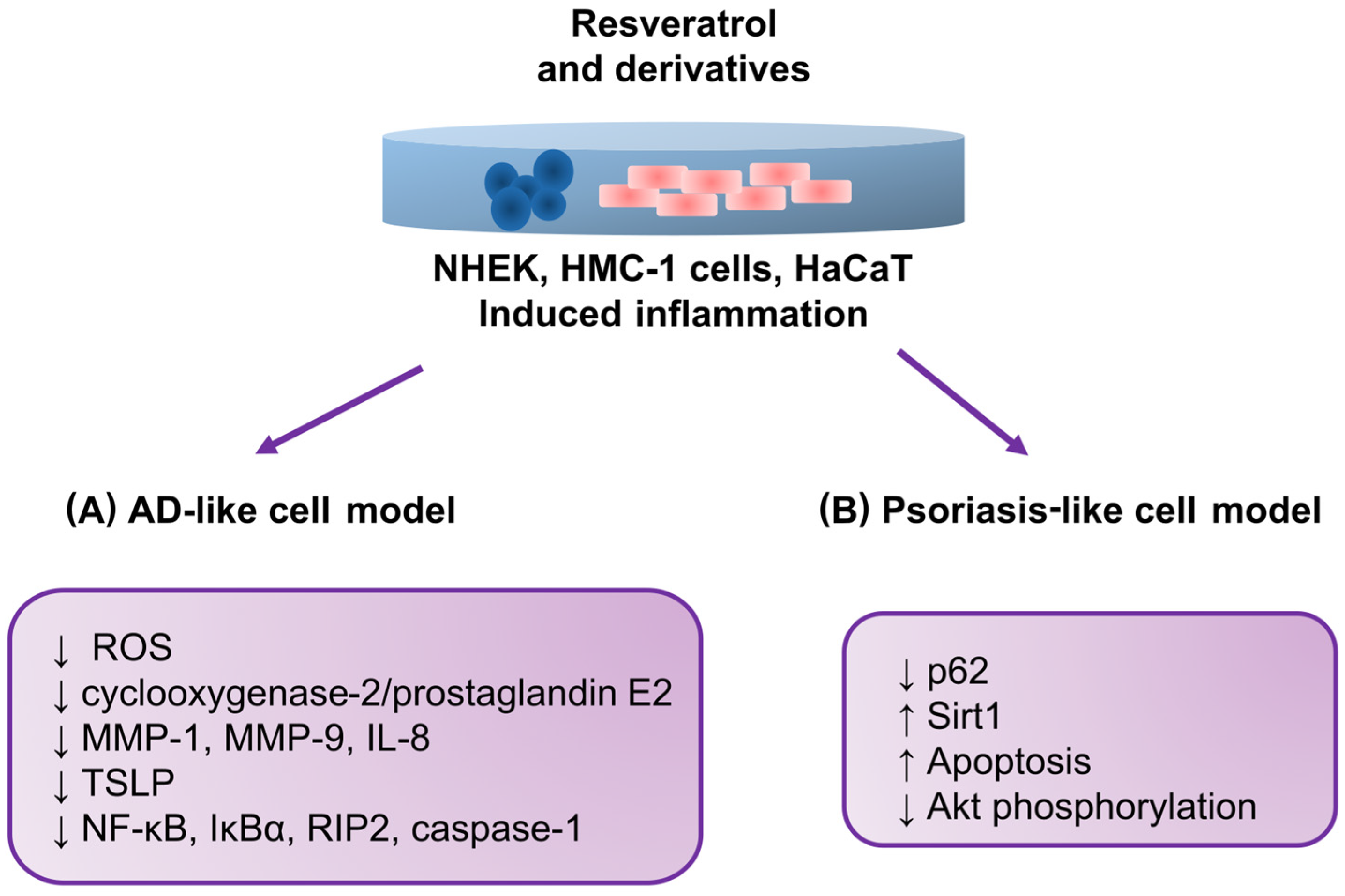 Antioxidants | Free Full-Text | Resveratrol and Its Derivatives in 