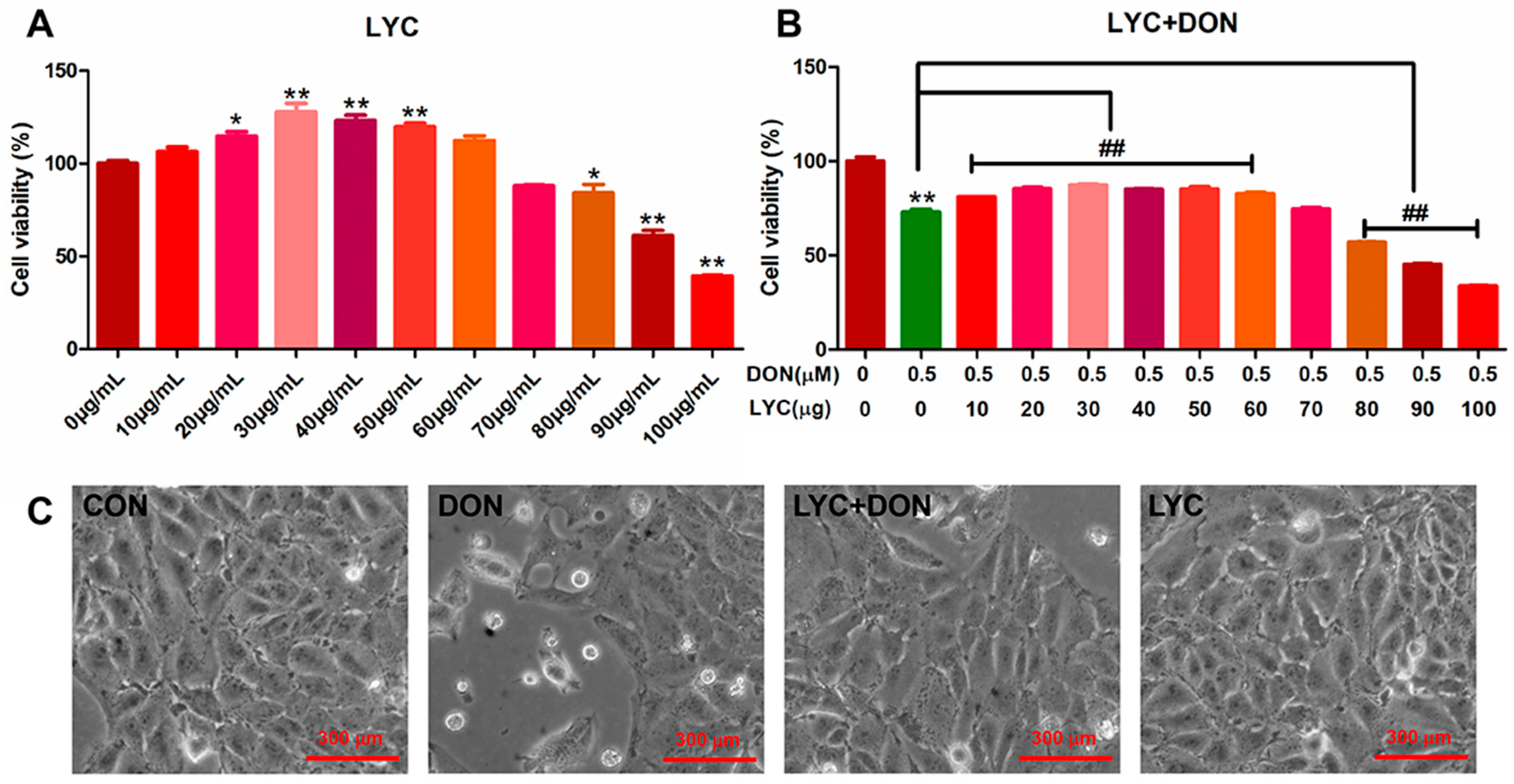 Antioxidants 12 01958 g001