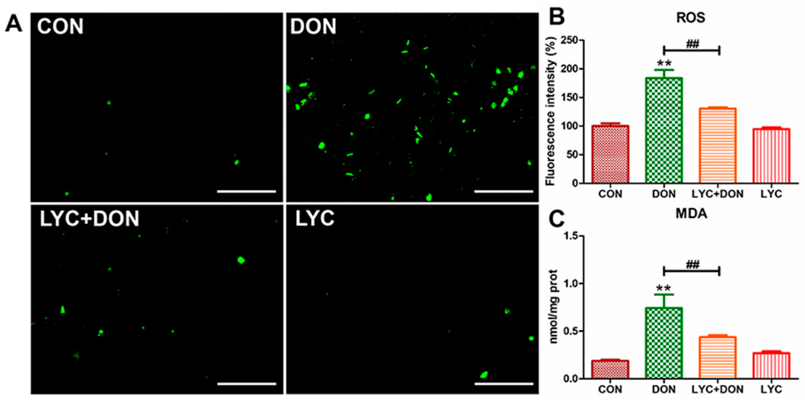 Antioxidants 12 01958 g003