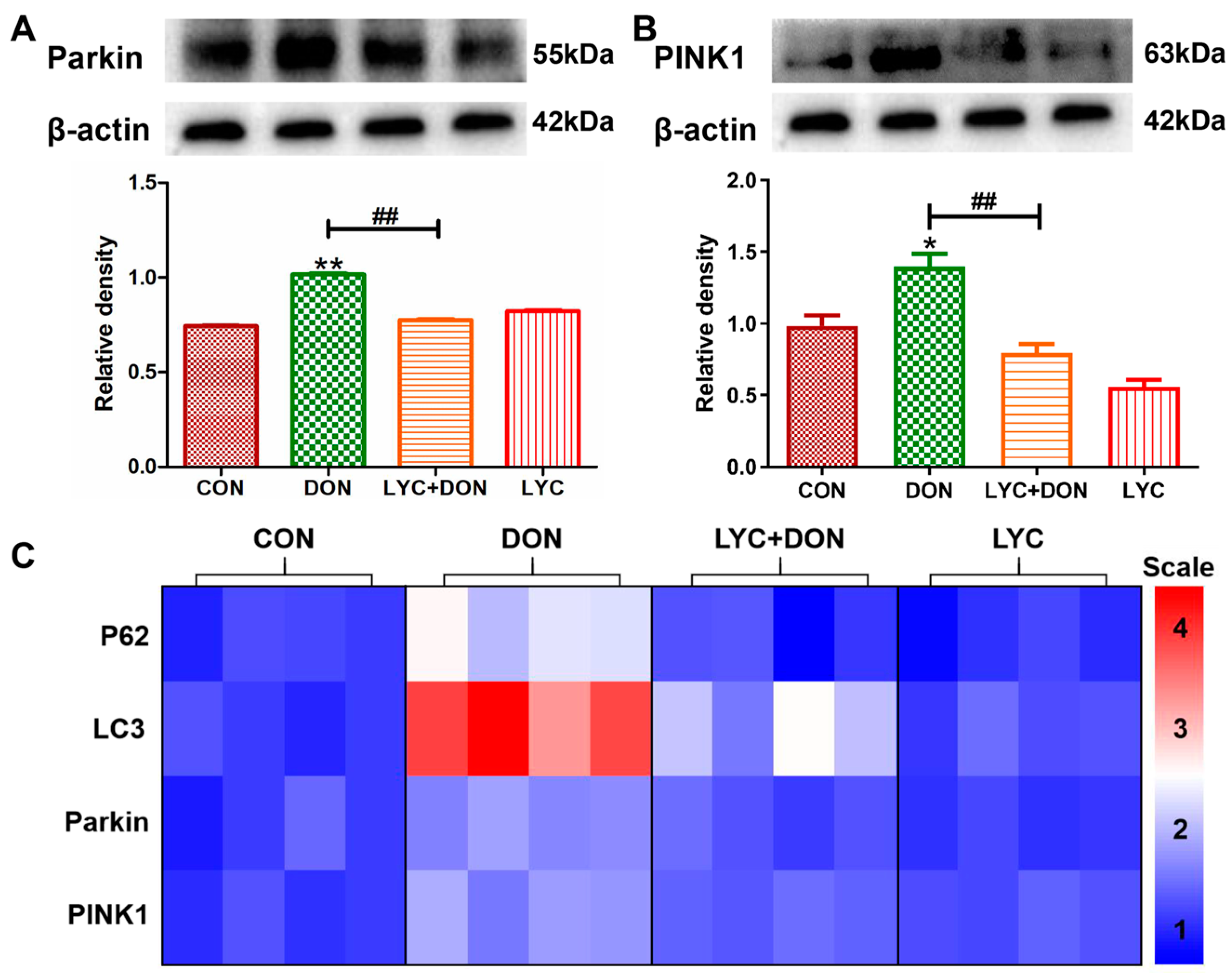 Antioxidants 12 01958 g006