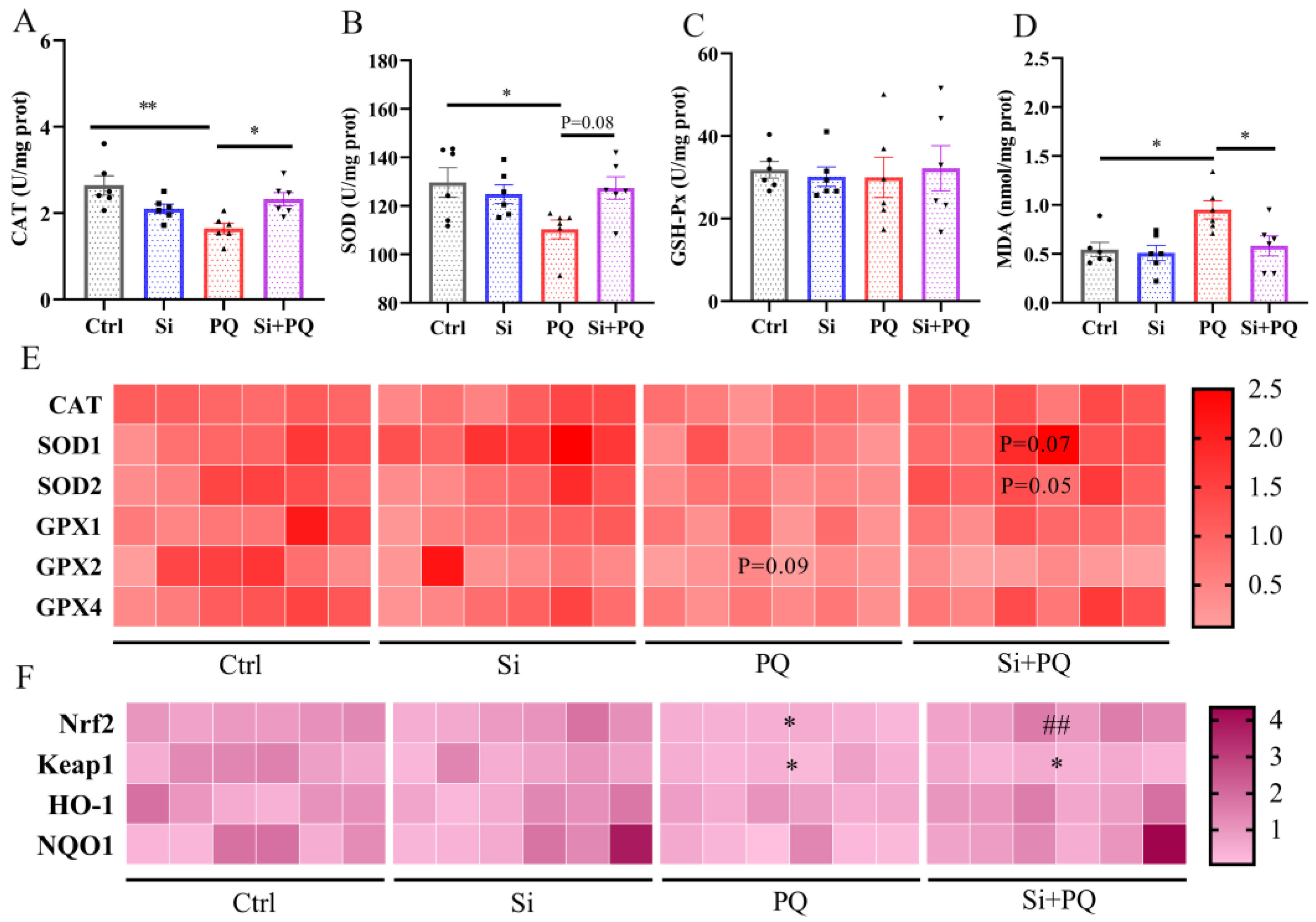 Antioxidants 12 01975 g002