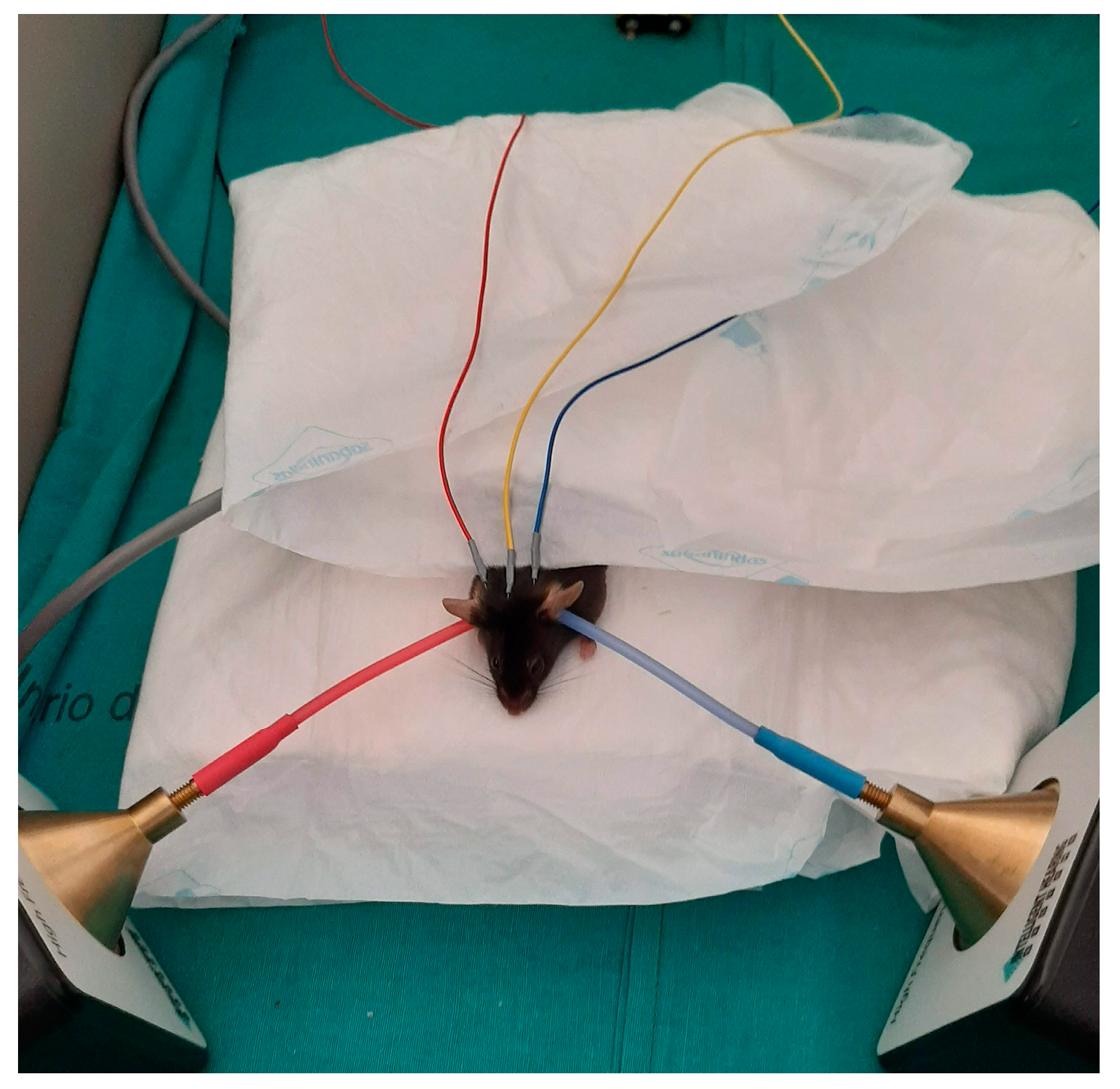 Antioxidants 12 01994 g002 Antioxidants 12 01994 g002