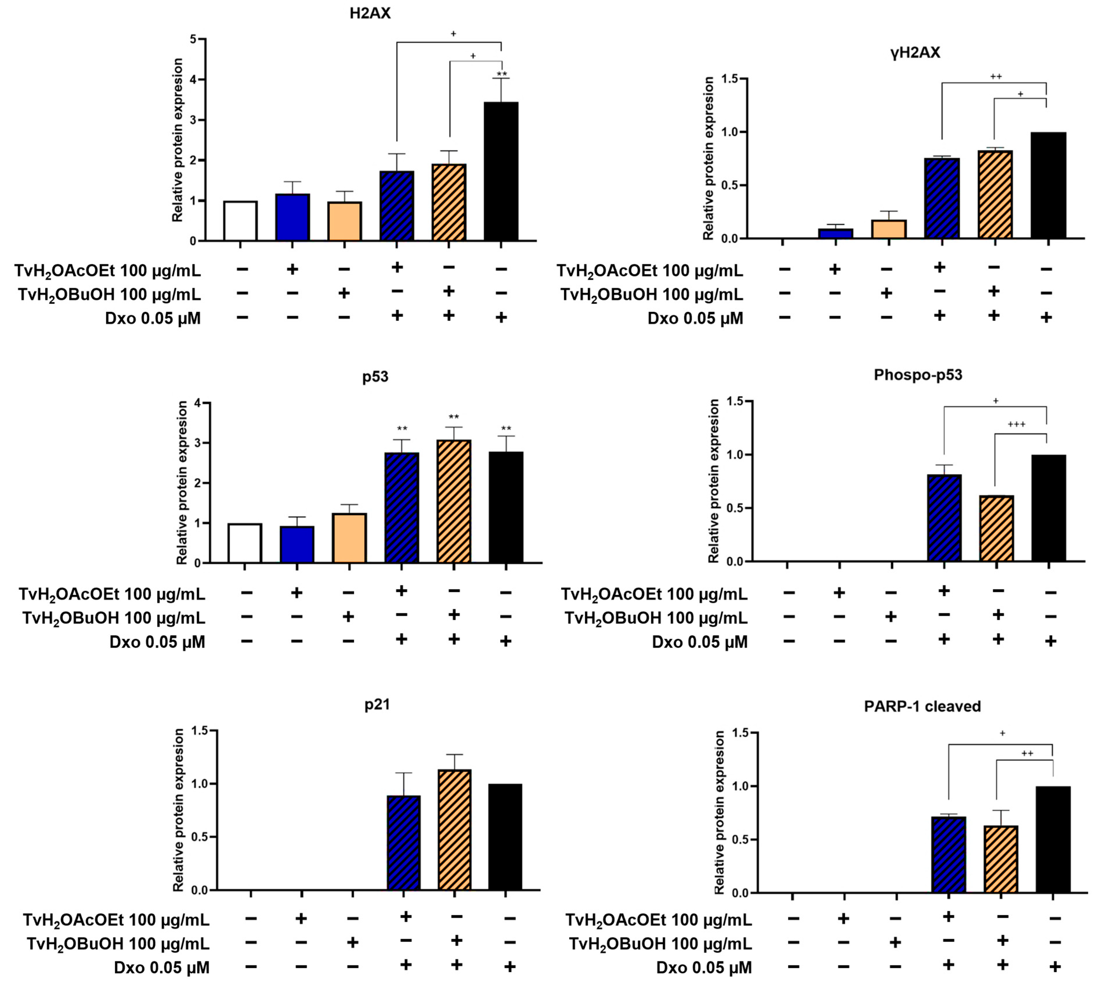 Antioxidants 12 02003 g008 Antioxidants 12 02003 g008