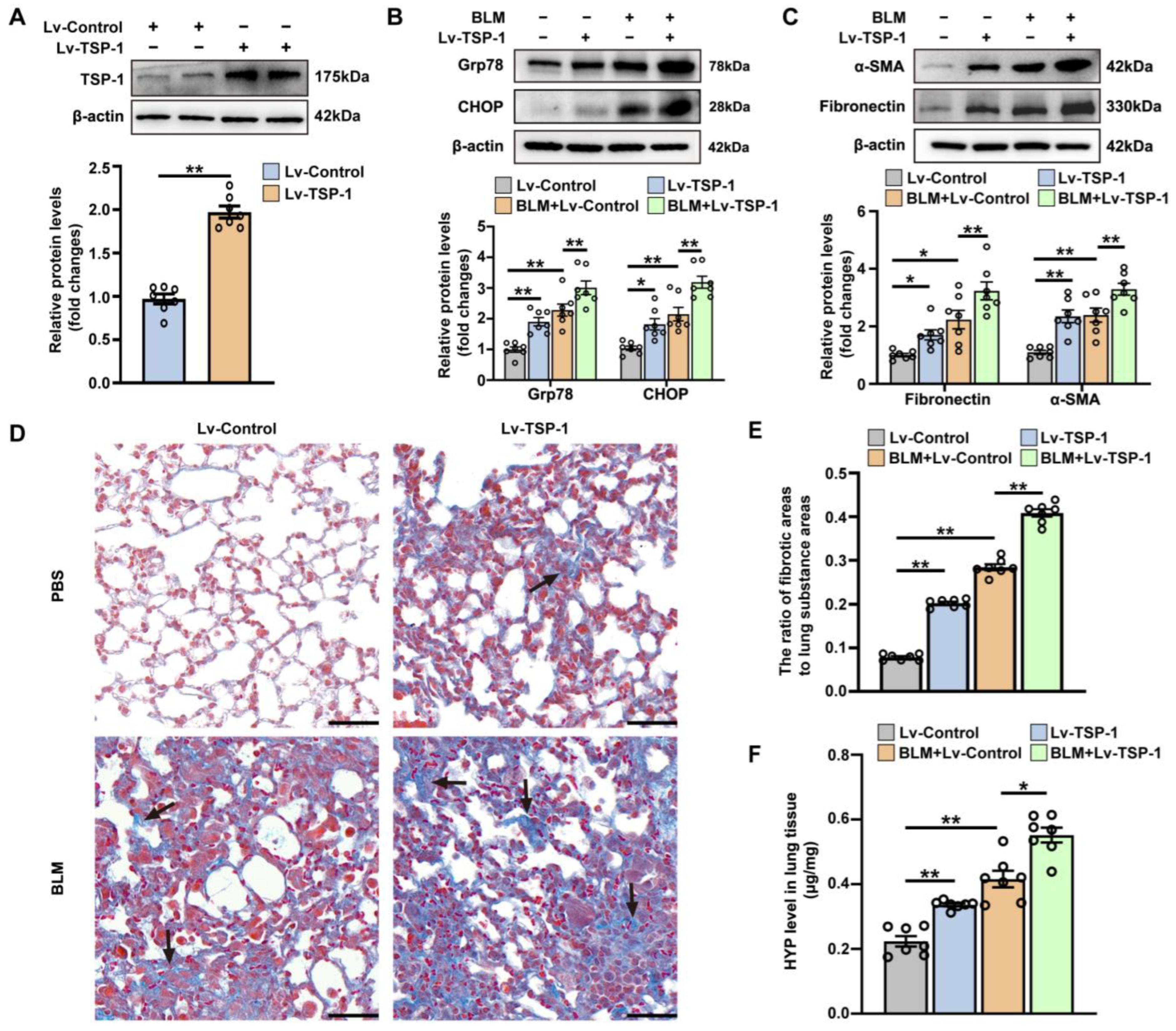 Antioxidants 12 02024 g004