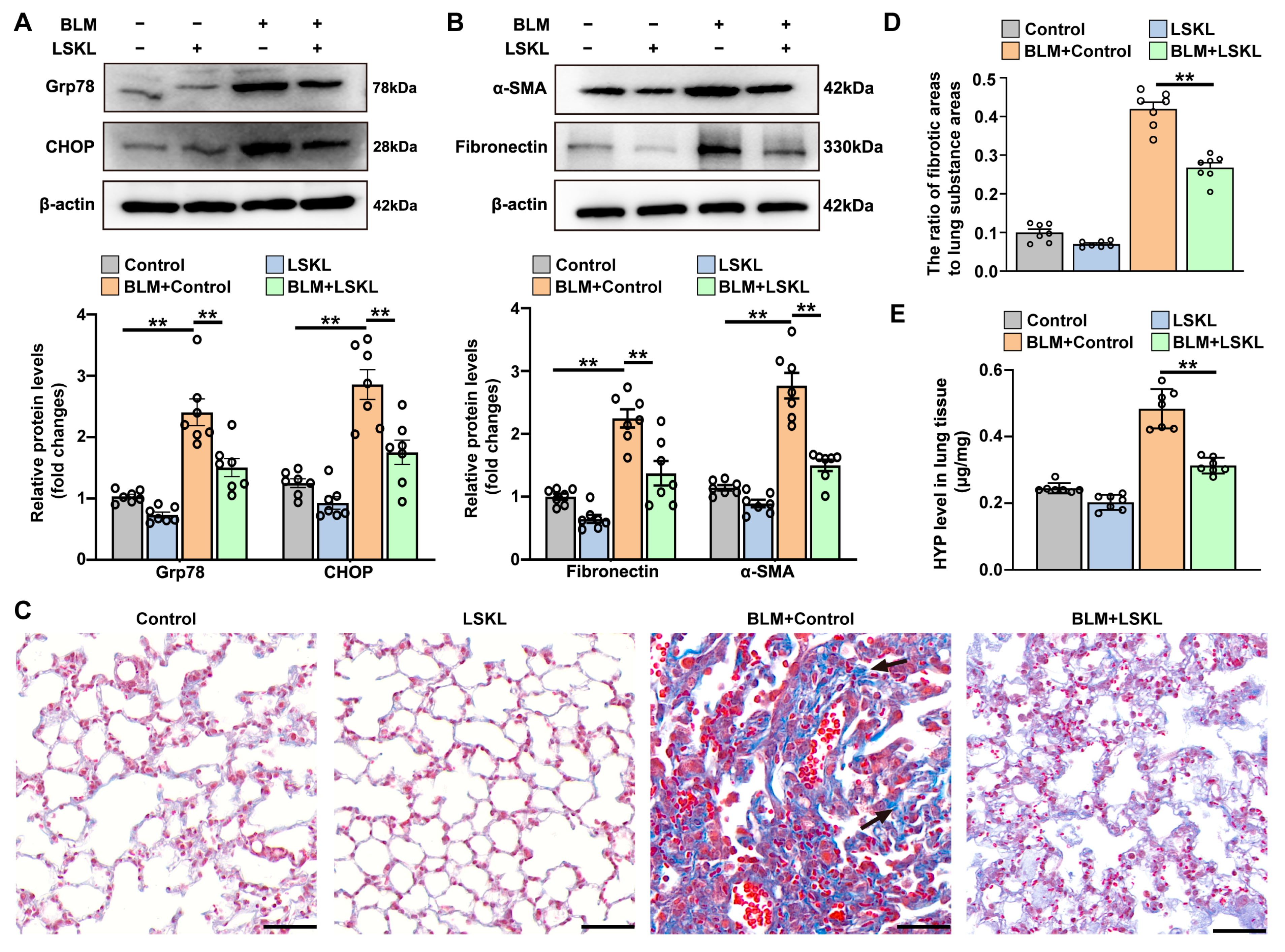 Antioxidants 12 02024 g005